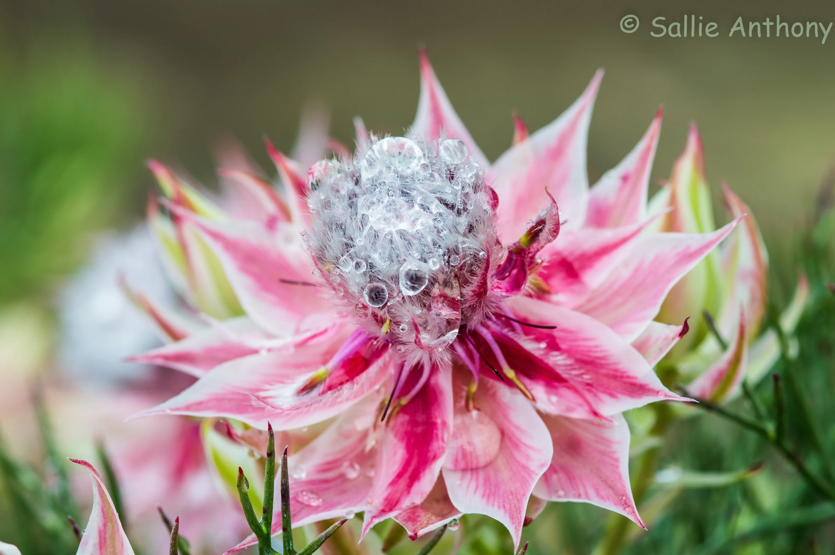 First attempt at Macro