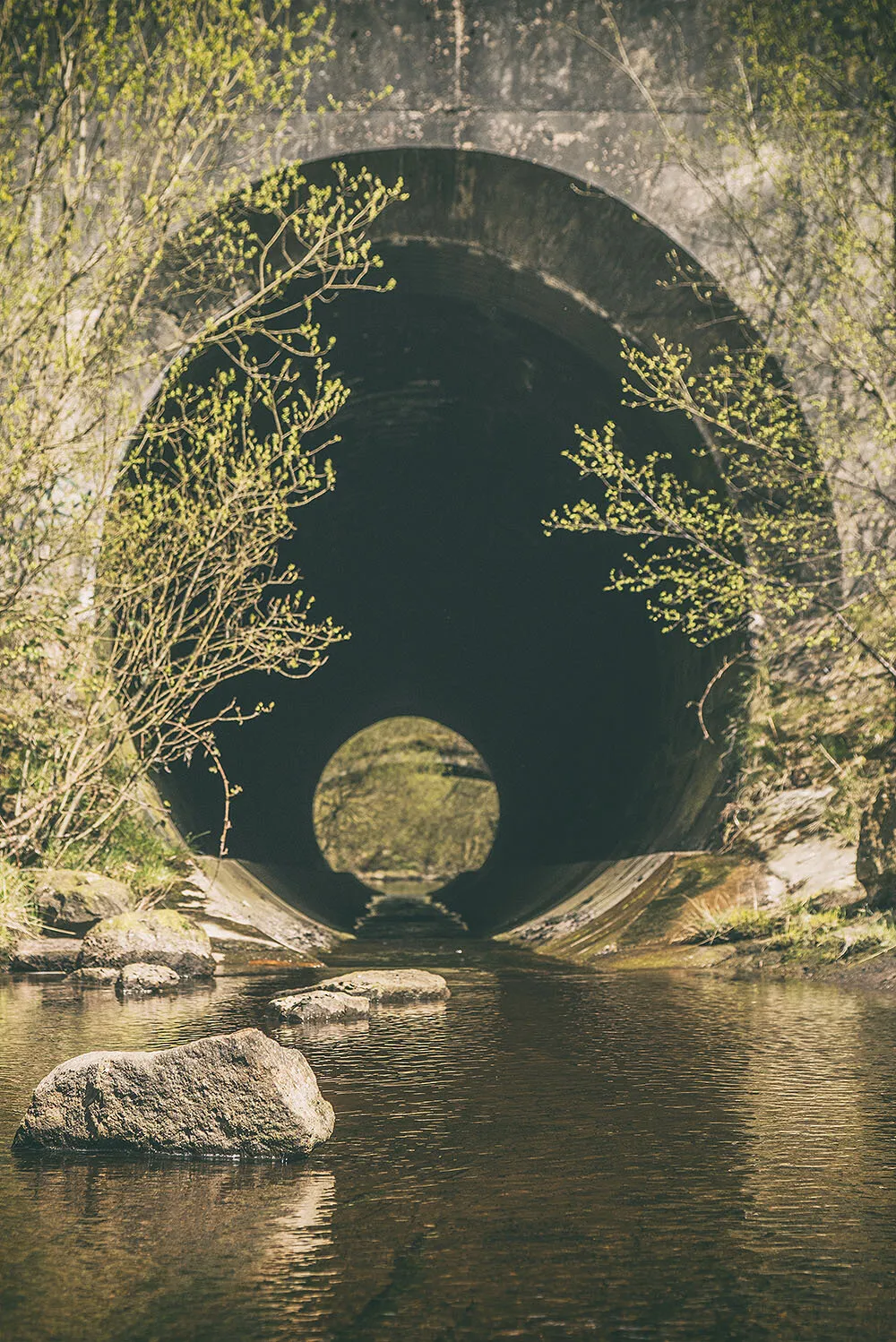 Lost World