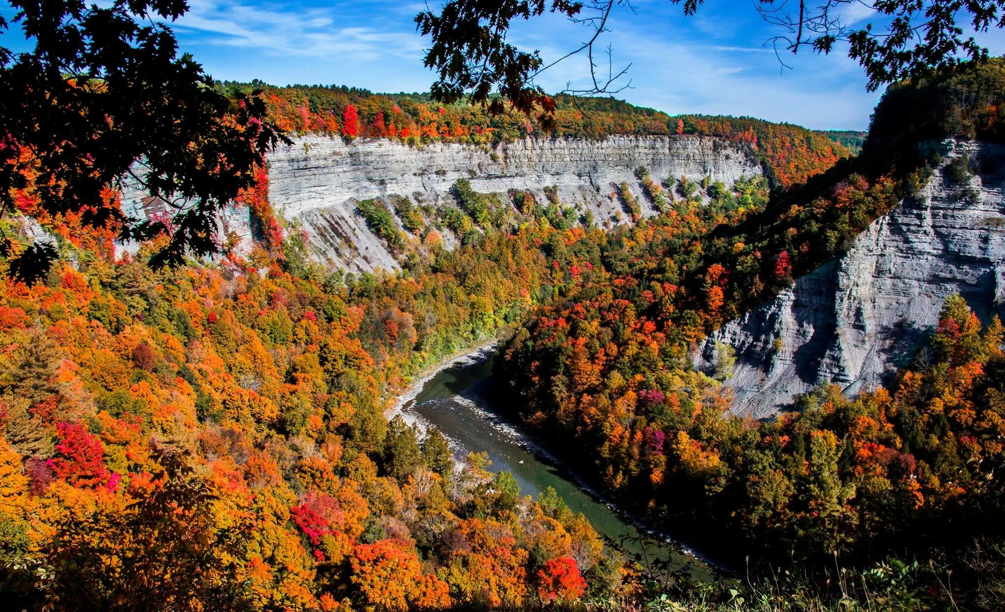Fall into color