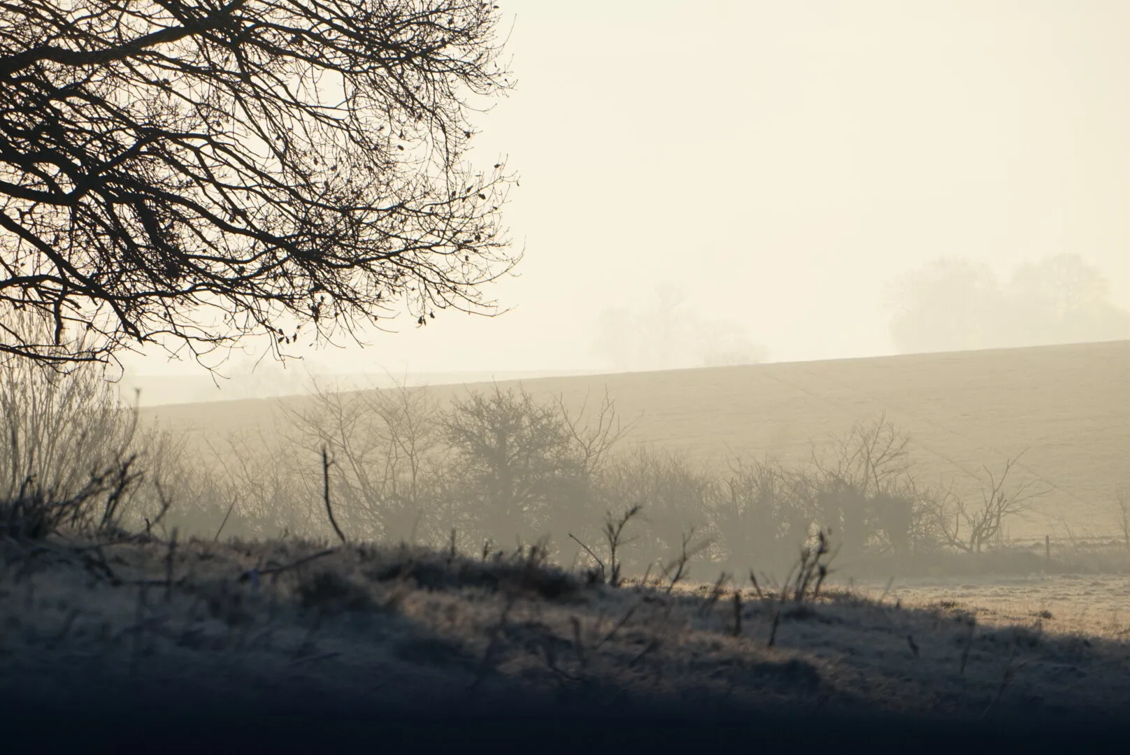 Cold winter morning
