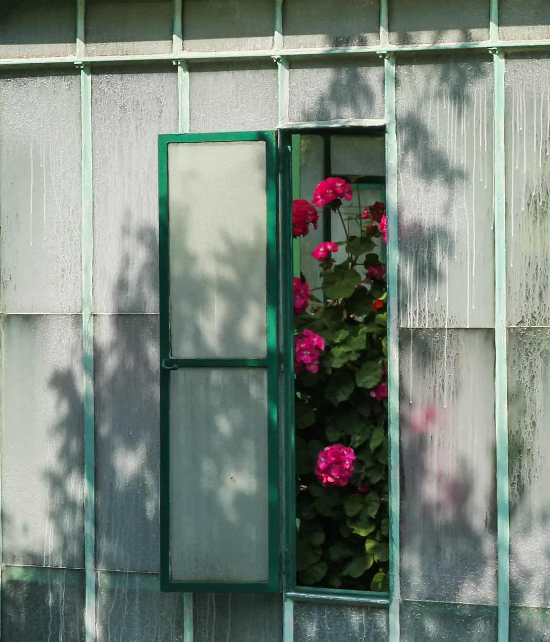 Entry 1647777
