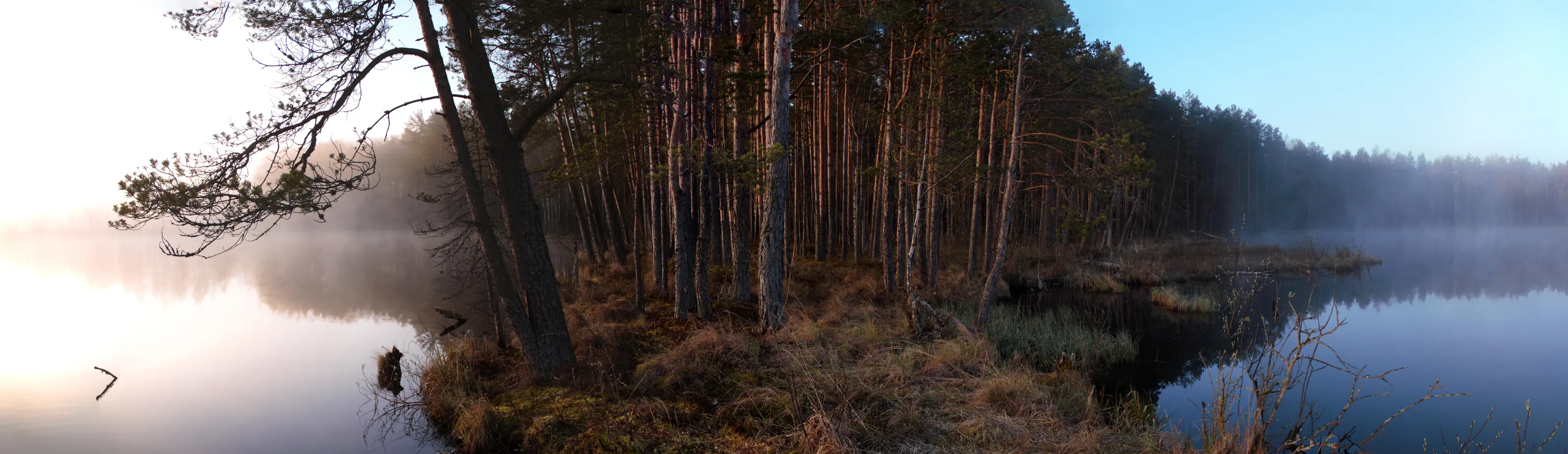 Dark fog vs light fog