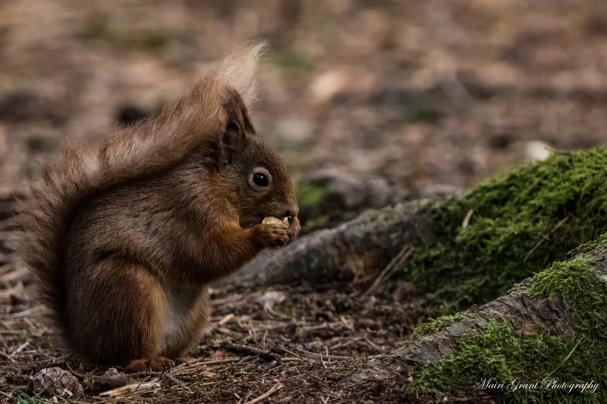 Entry 1658126