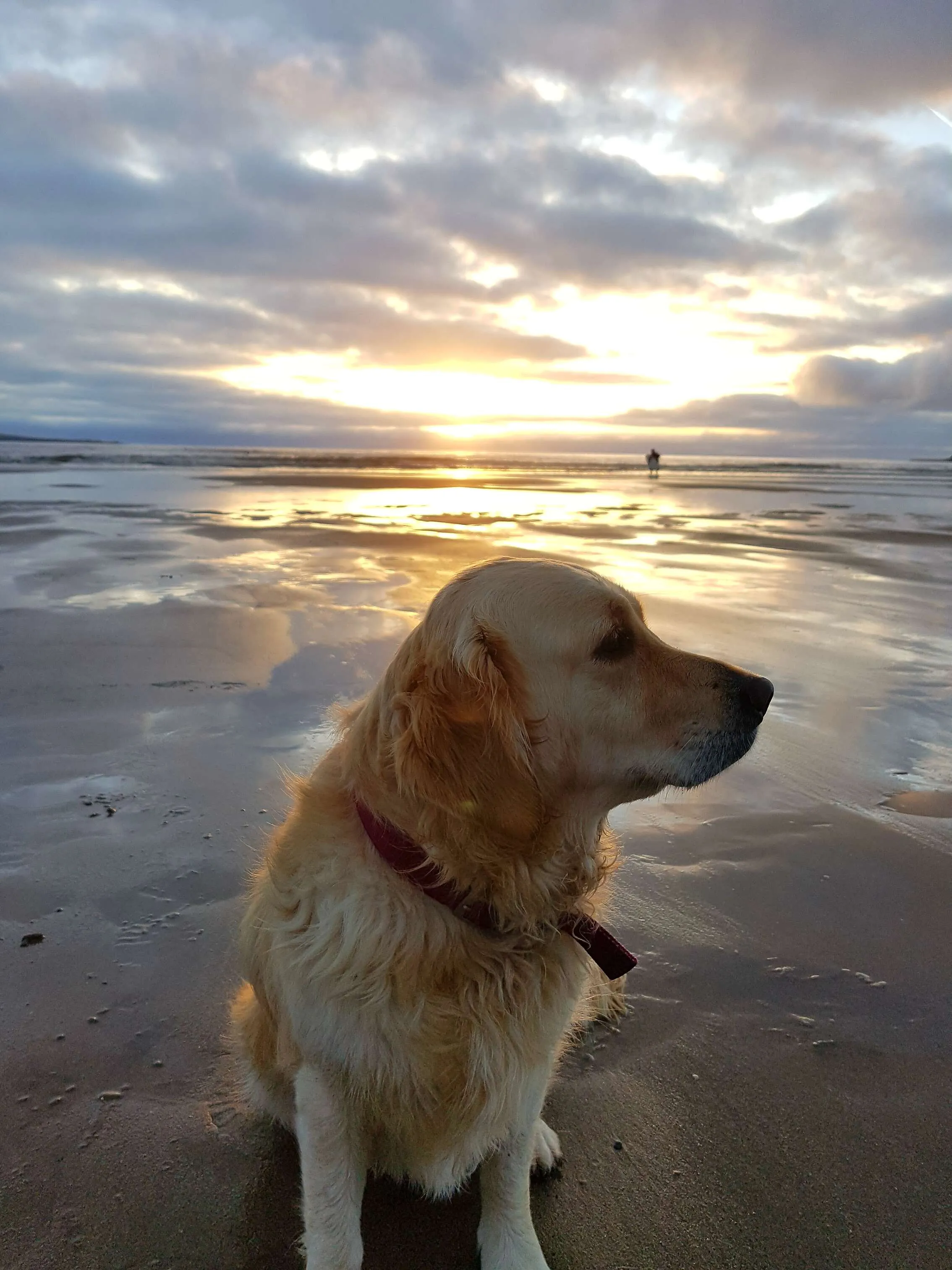 Lilly on the beach