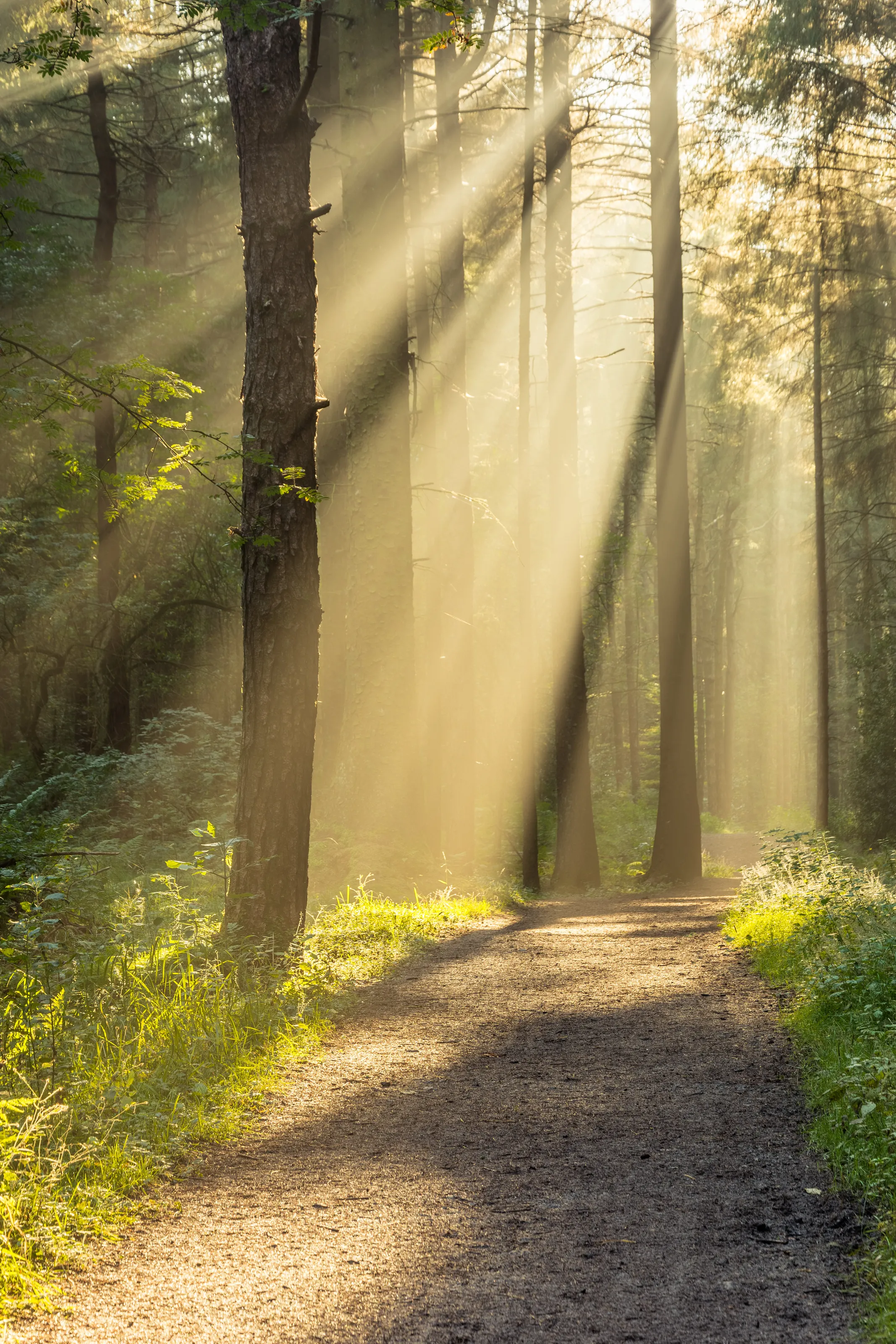 Enlightened - Entwistle Reservoir, Lancashire, UK.