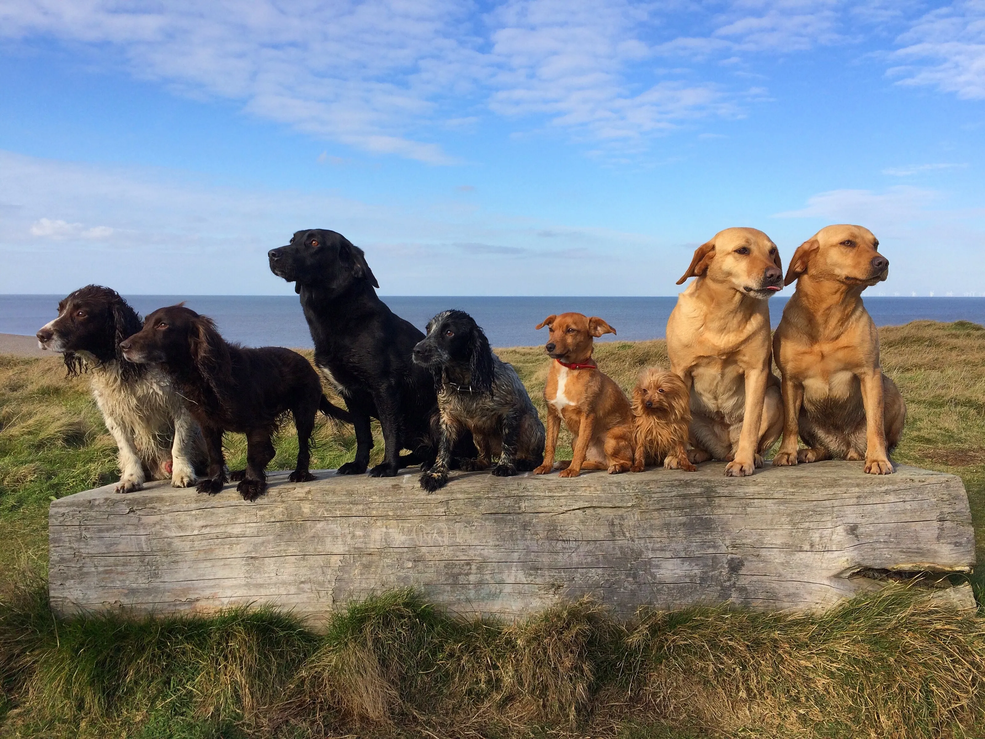 'Don't tell anyone how long it took to get this shot!'