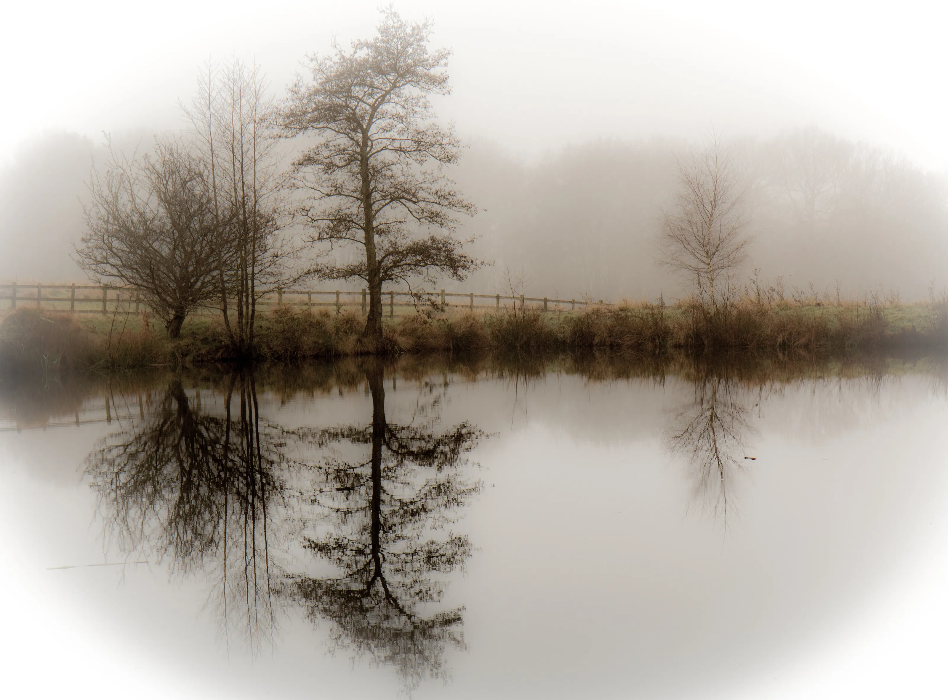 Misty Morning Mirror Finish
