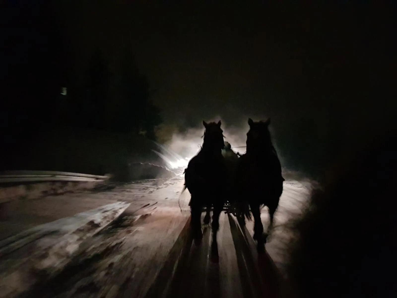 Ghostly Polish Horses from Krynica