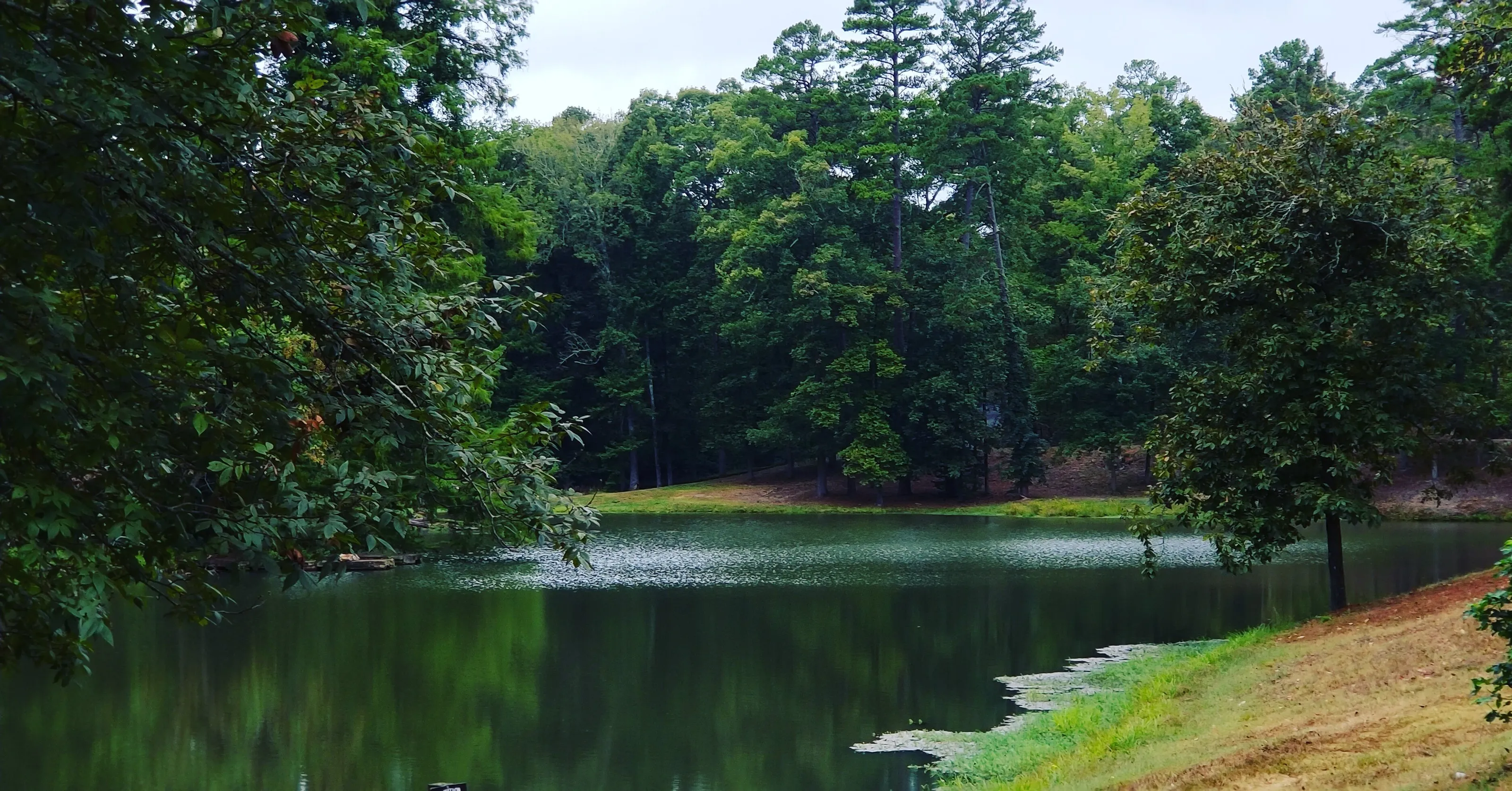 Hot Springs ar