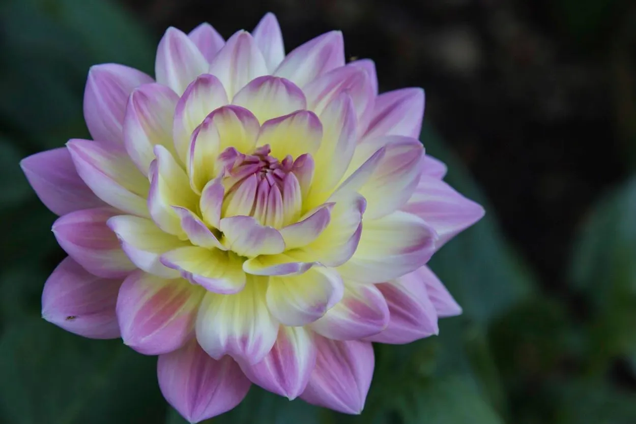 Entry 1671616