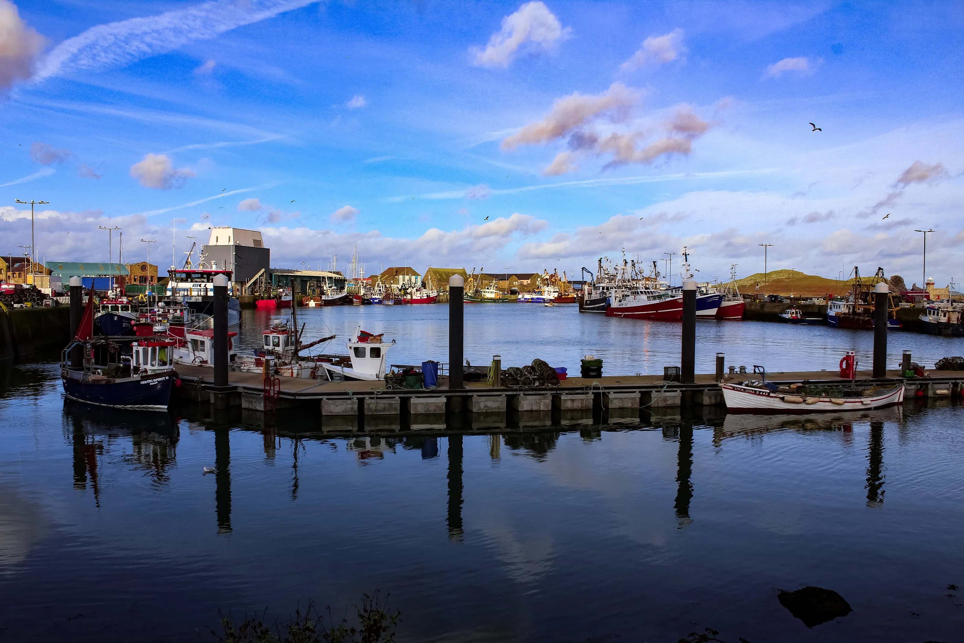 Howth port