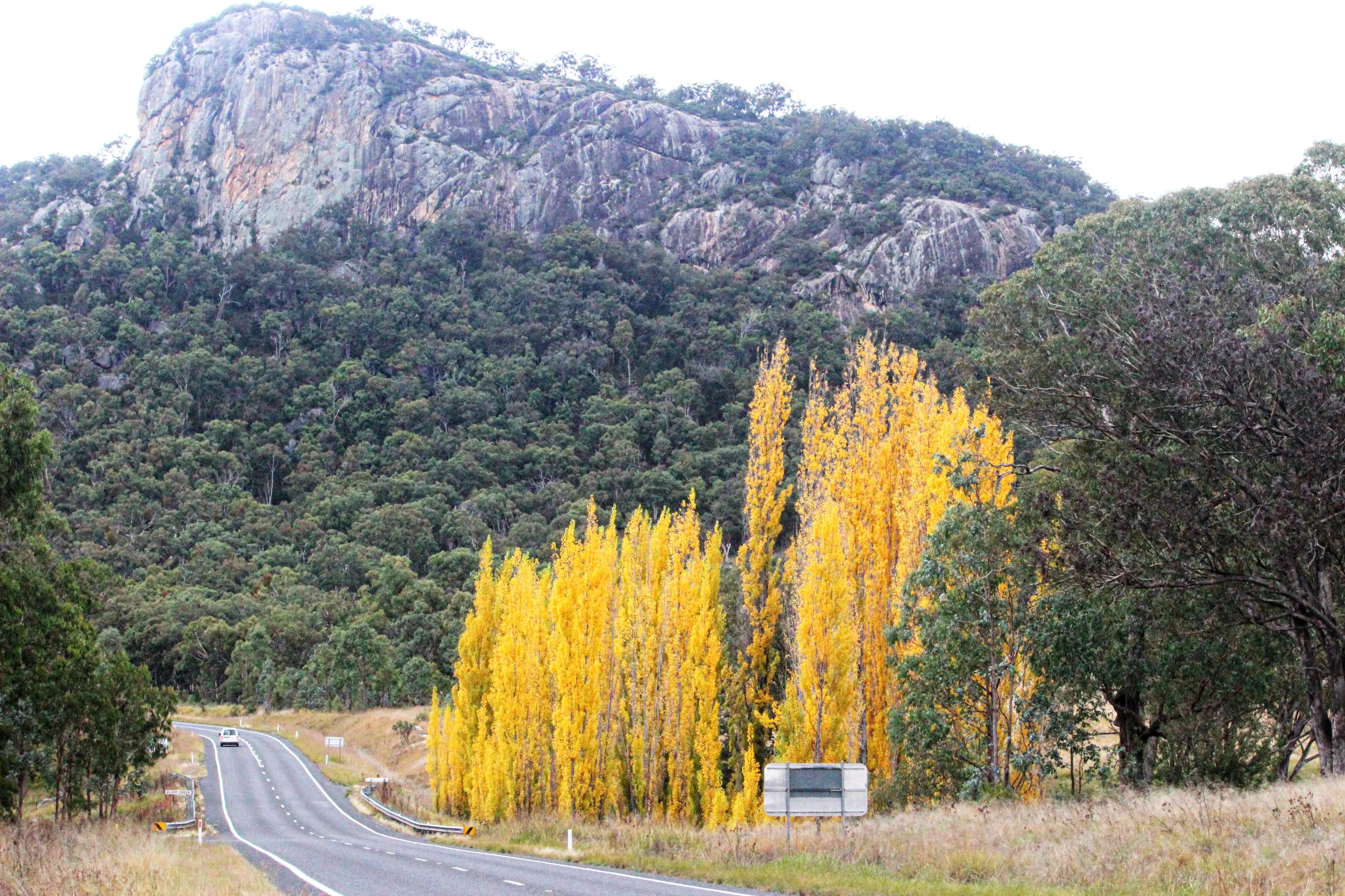 The Bluff (New England Highway) Nsw, Australia