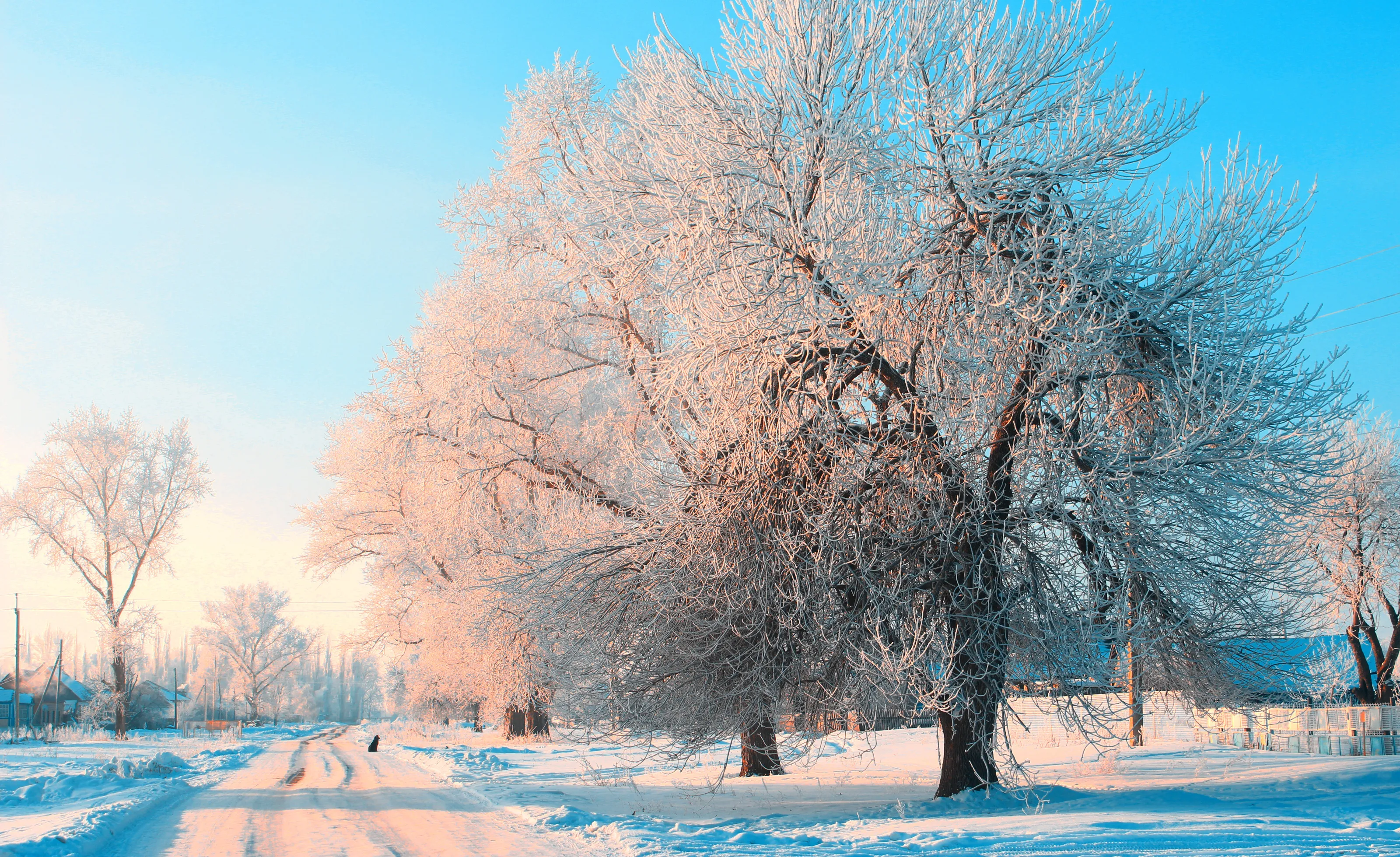 A calm winter day)