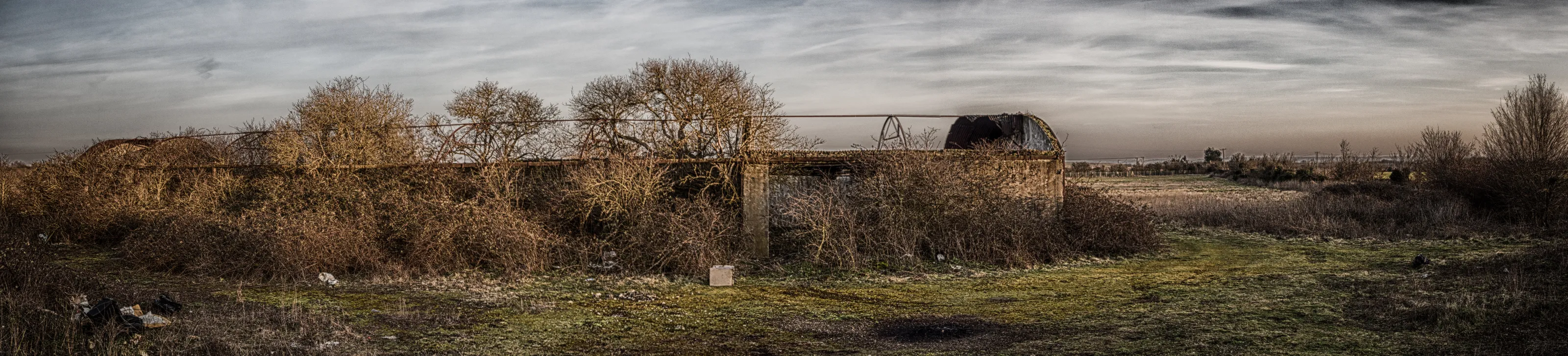 Abandoned to nature
