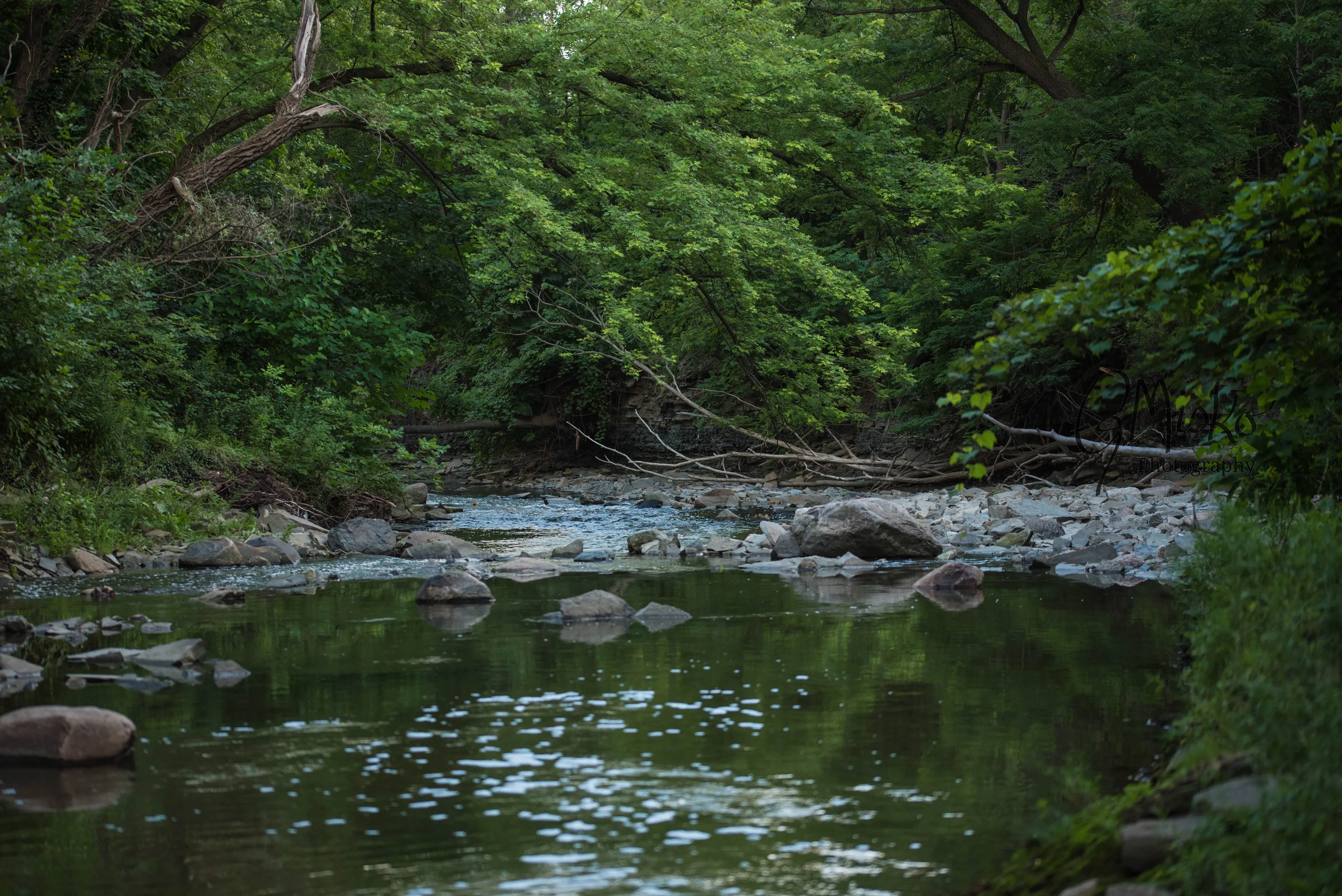 The Creek