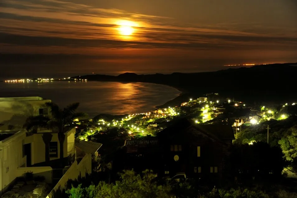 Golden night