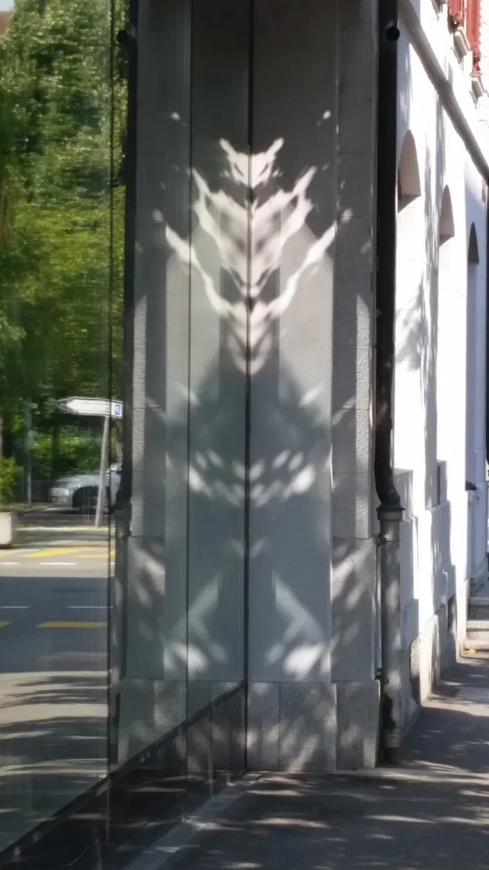 Entry 1910436