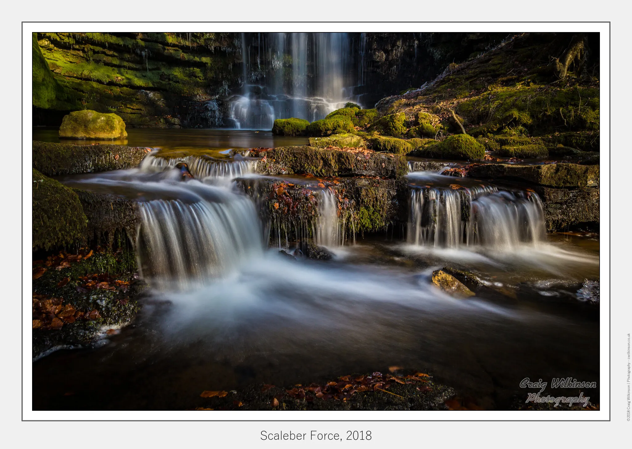 Scalebar Force, 2018