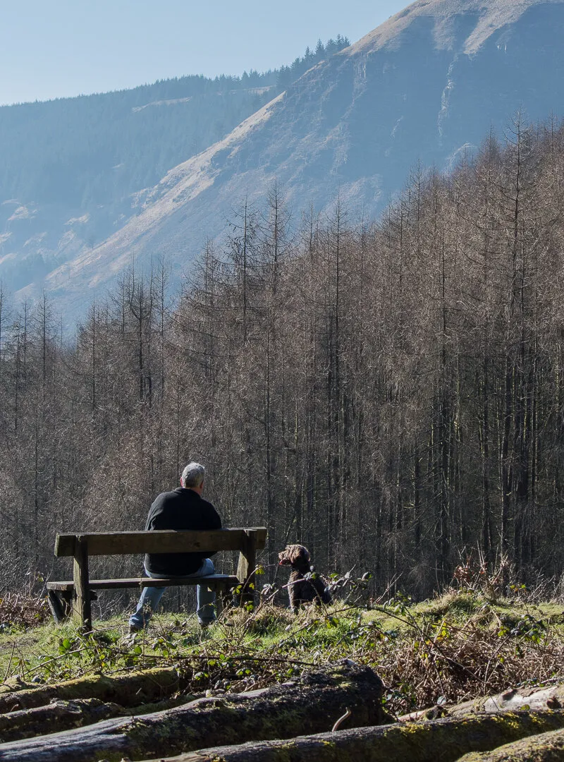 One man and his dog