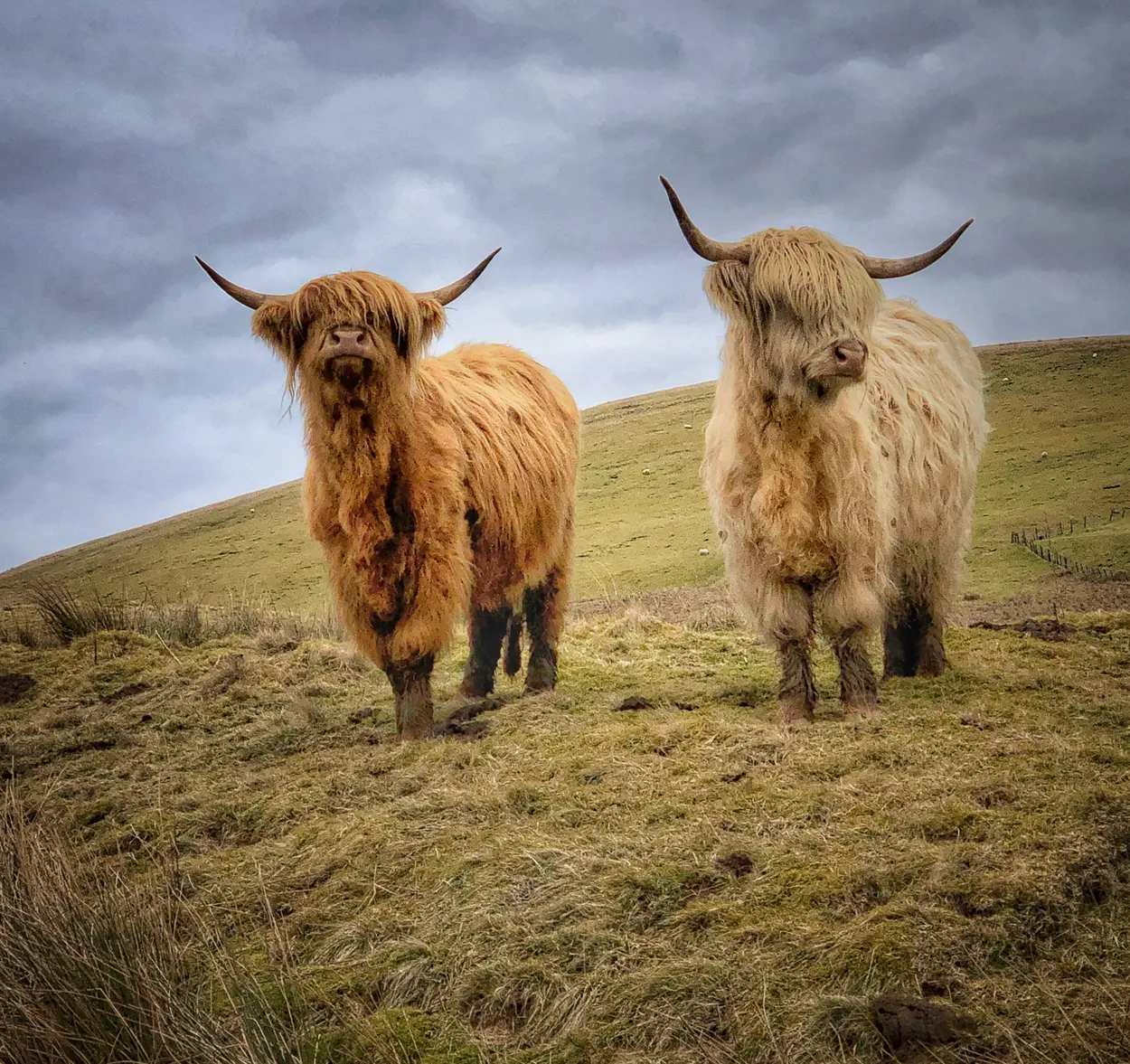 Entry 1687840