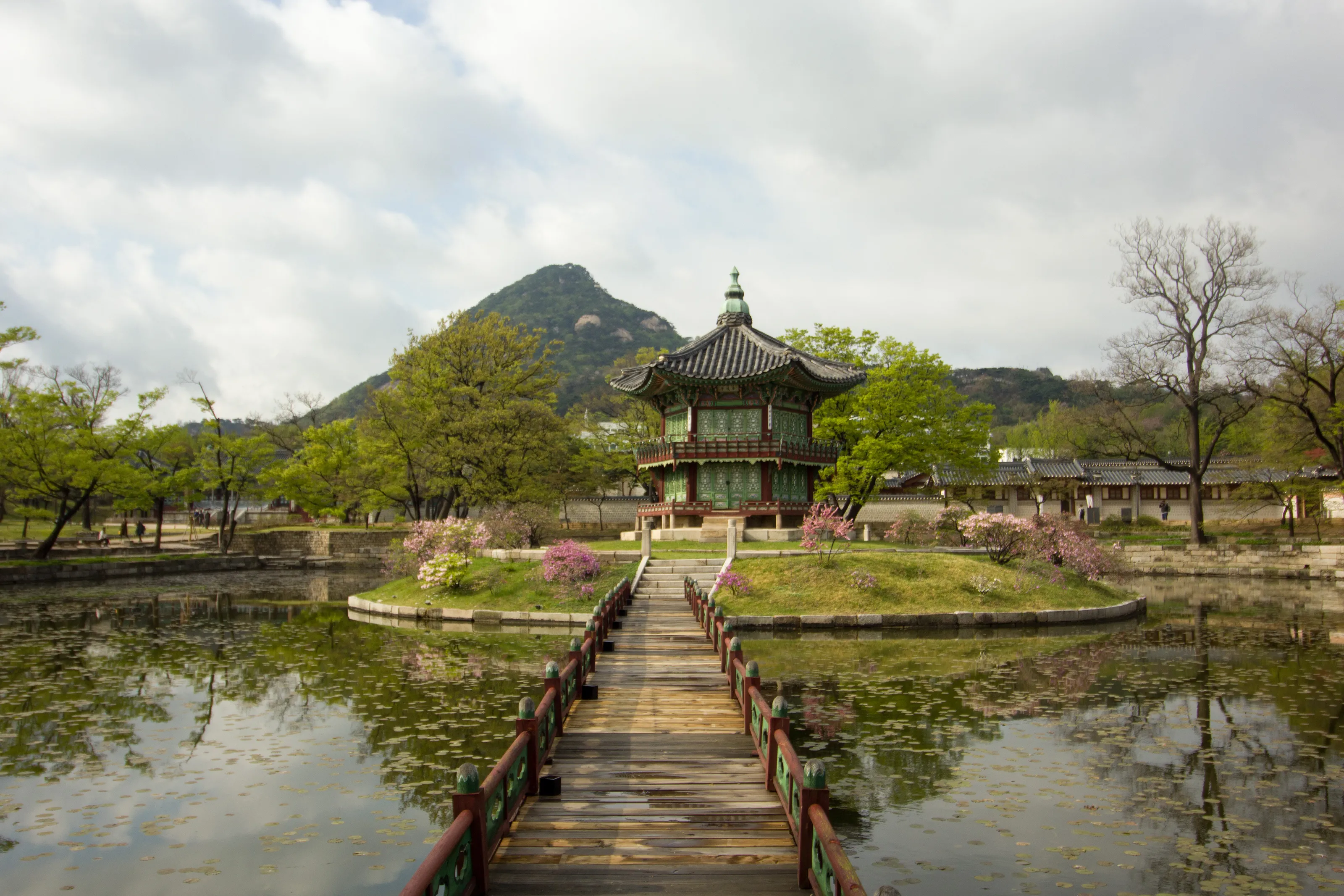 Tranquility Amidst The City