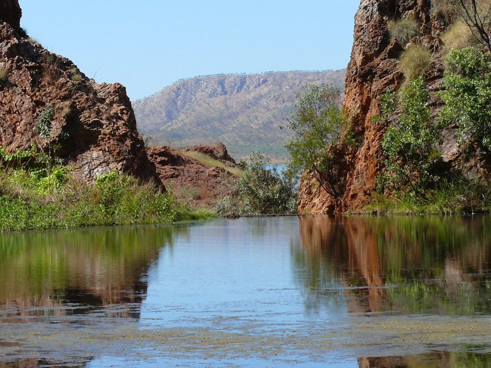 Dead horse spring Lake Argyle WA Aust