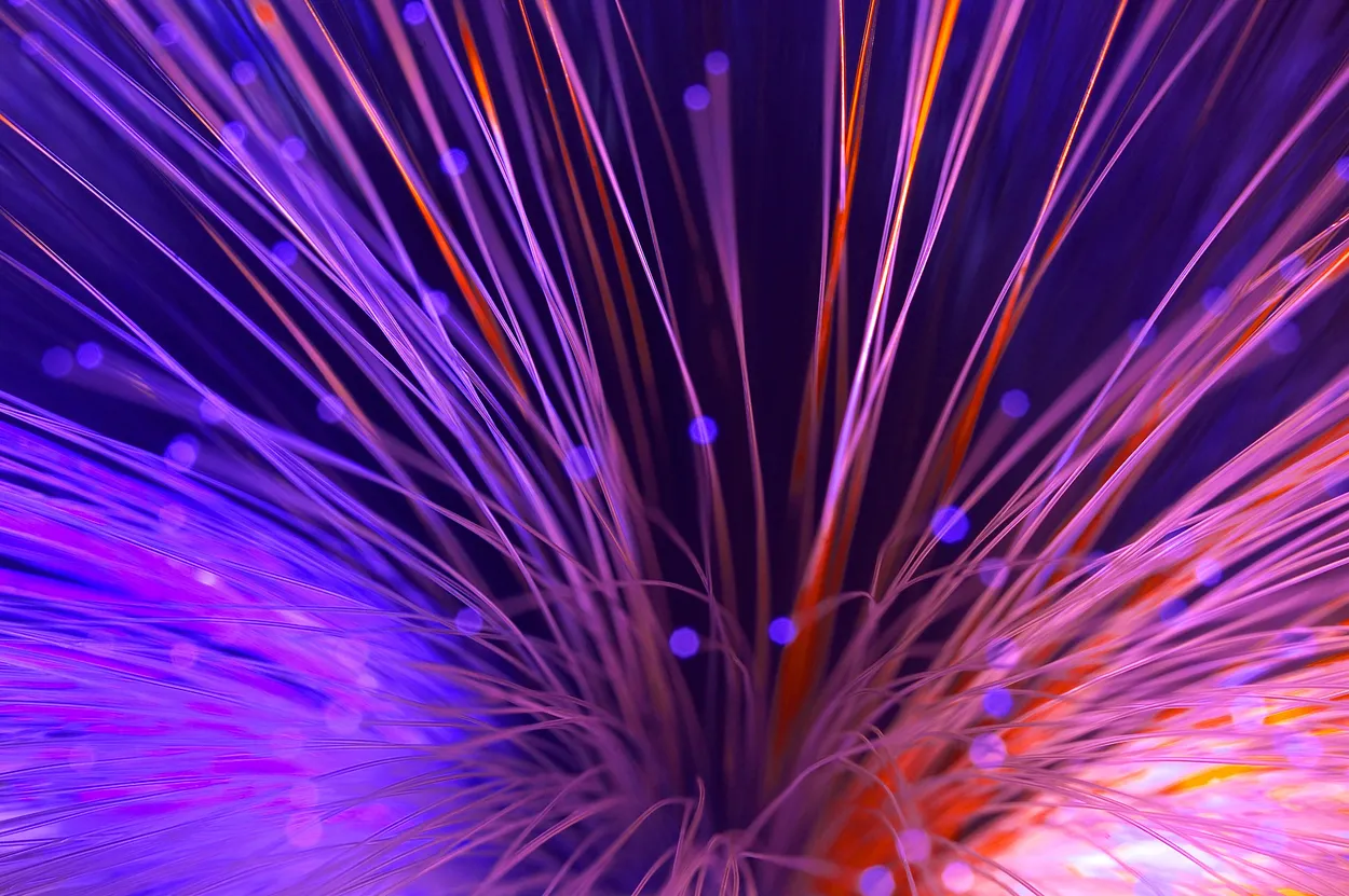 Fibre Optic Light