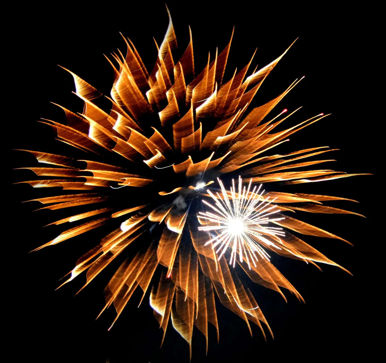 Entry 11257199