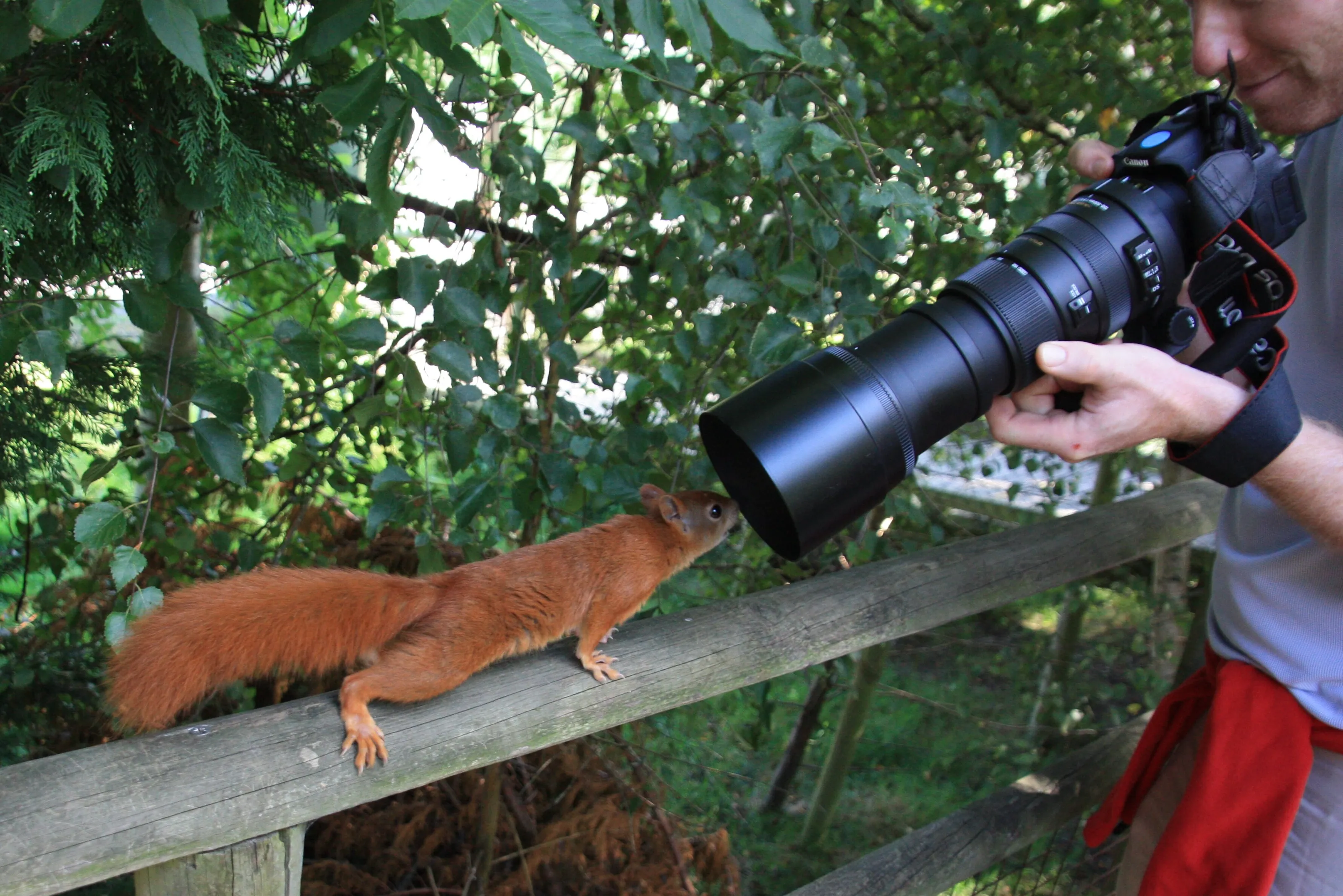 Are you sure that lens is big enough mate?