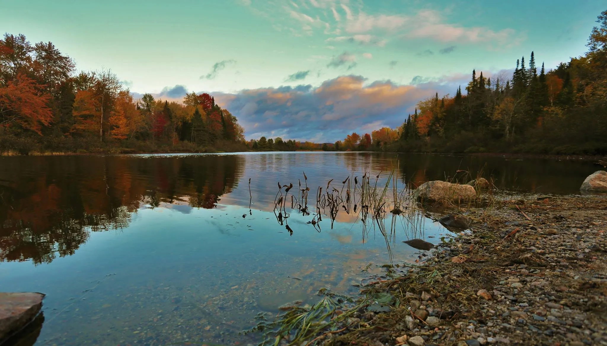 Beautés d'automne