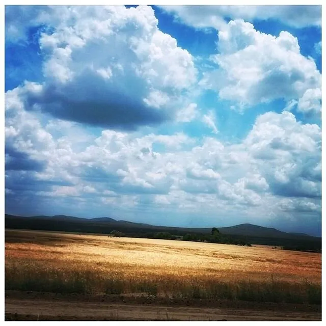 Before the rain.