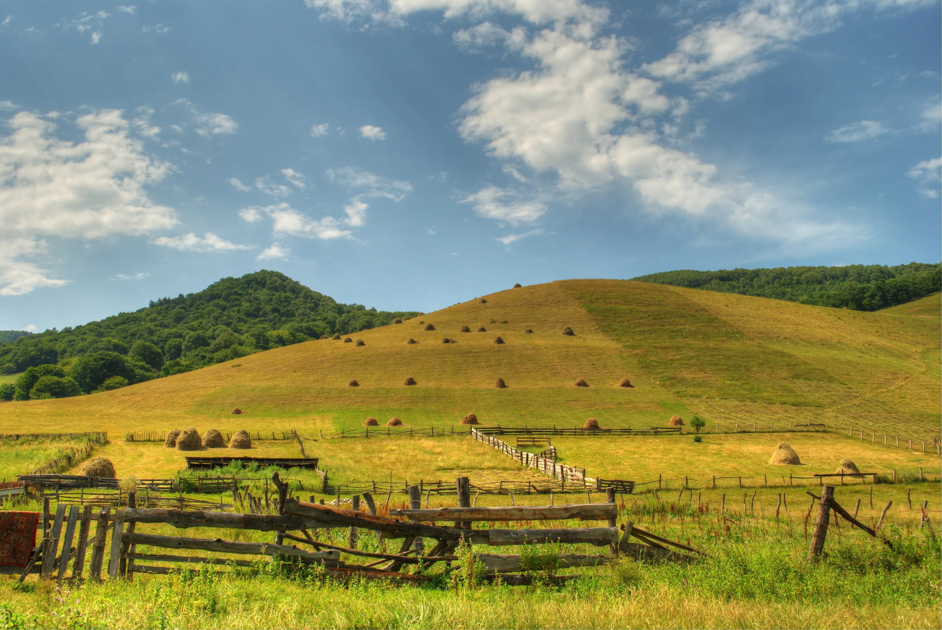 Haymaking