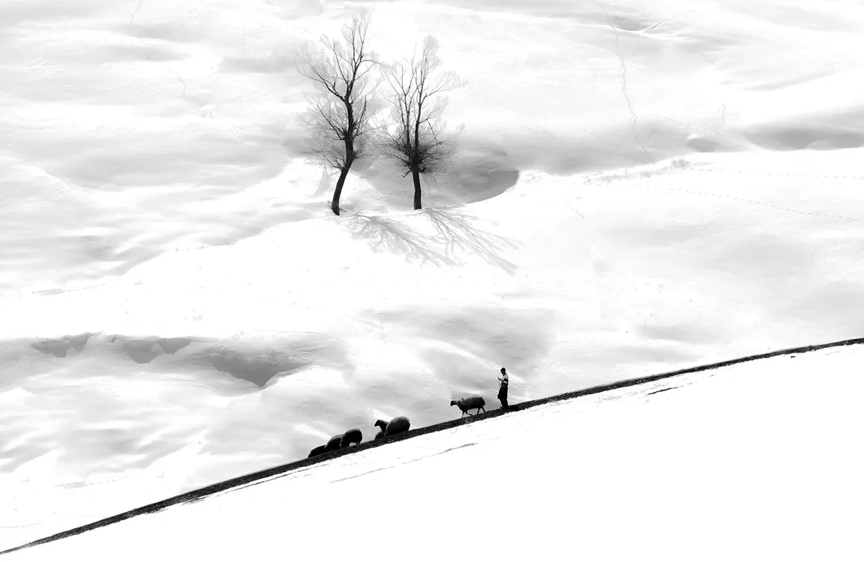 Entry 1709782