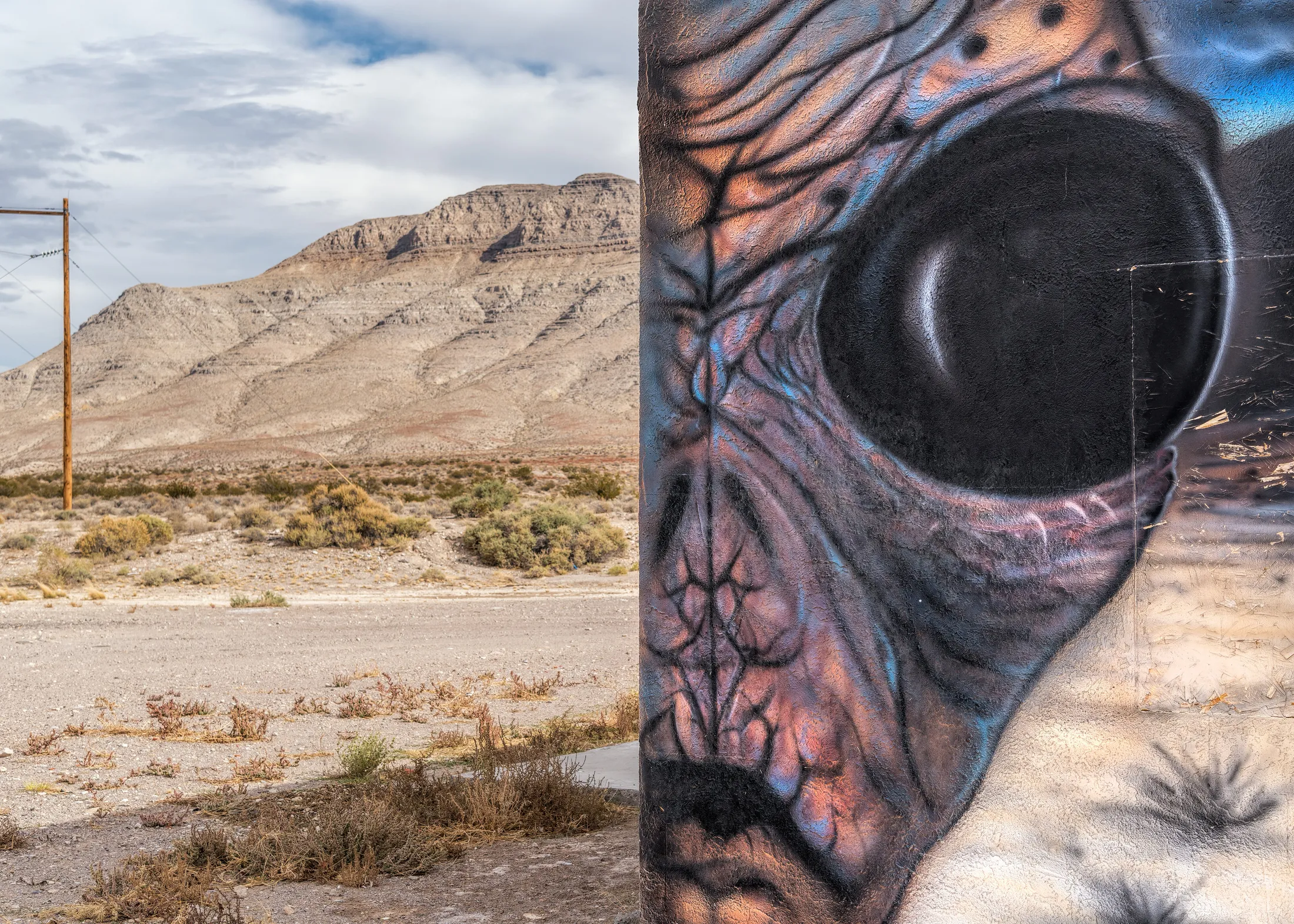 Alien Graffiti