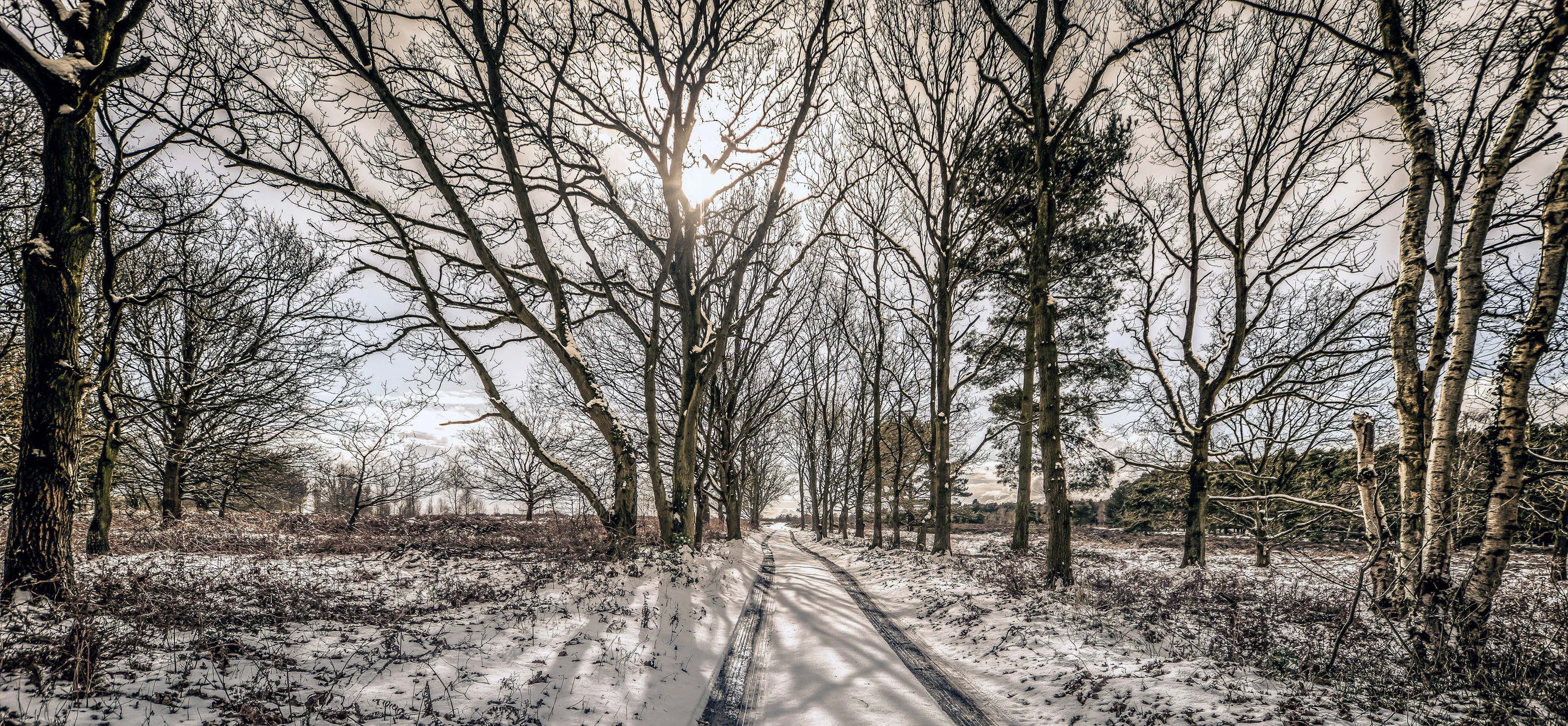 Road through Kirkby Moor