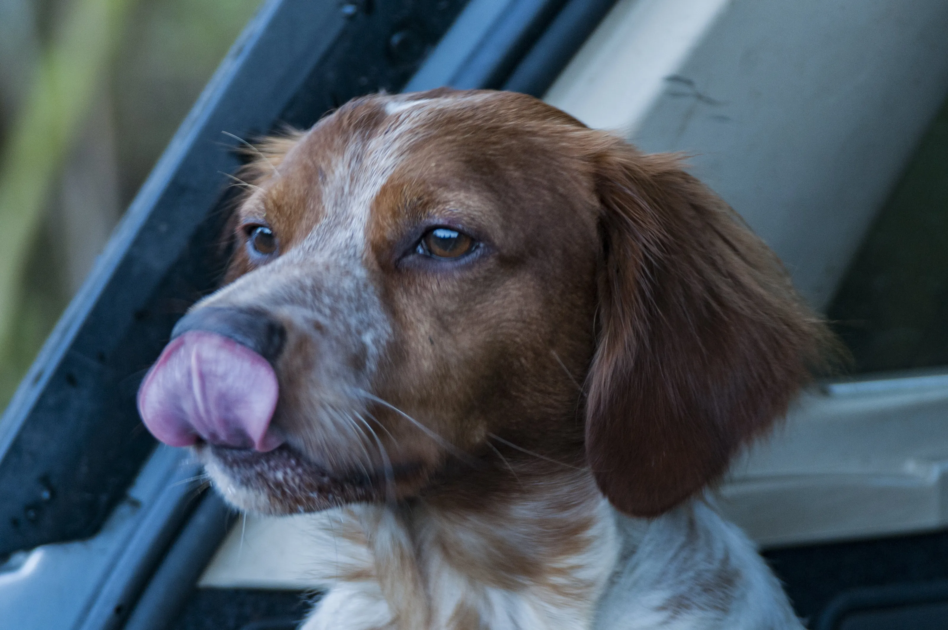 Mlem