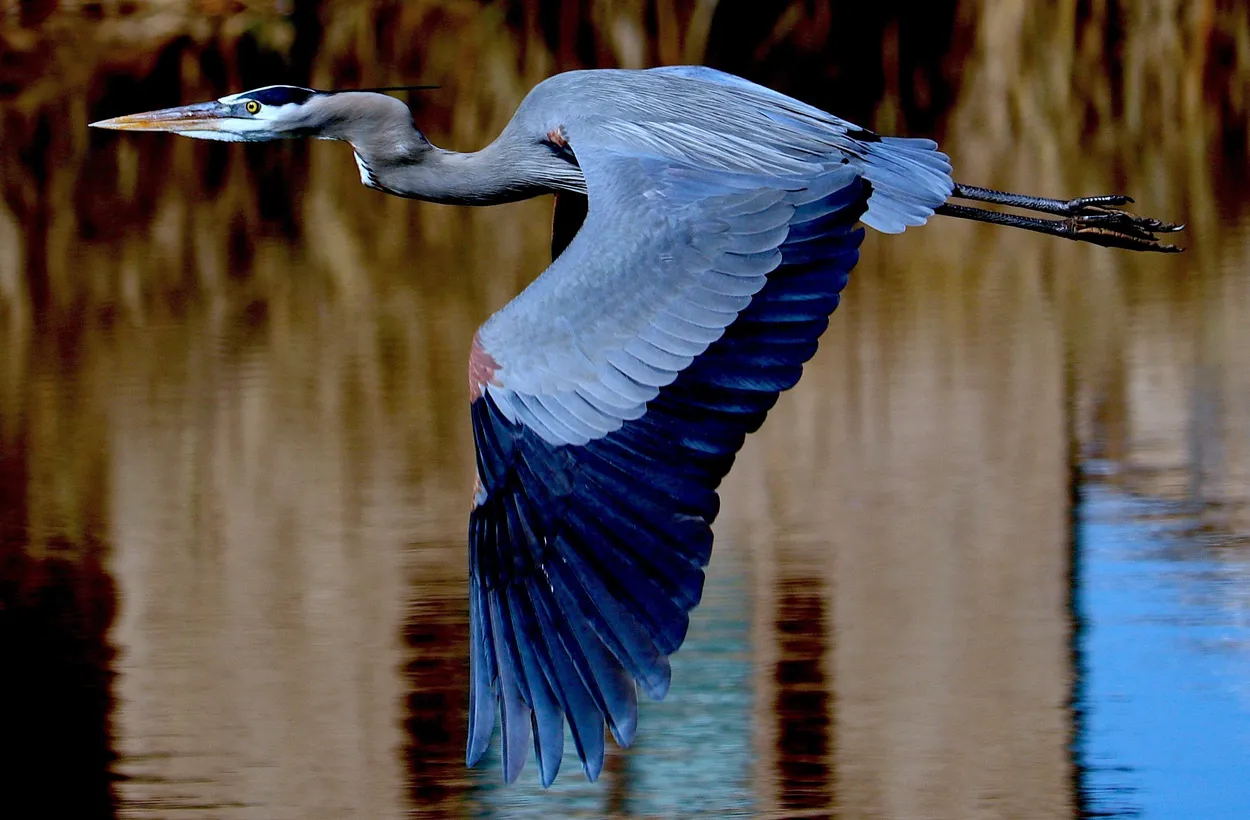 Entry 1713305