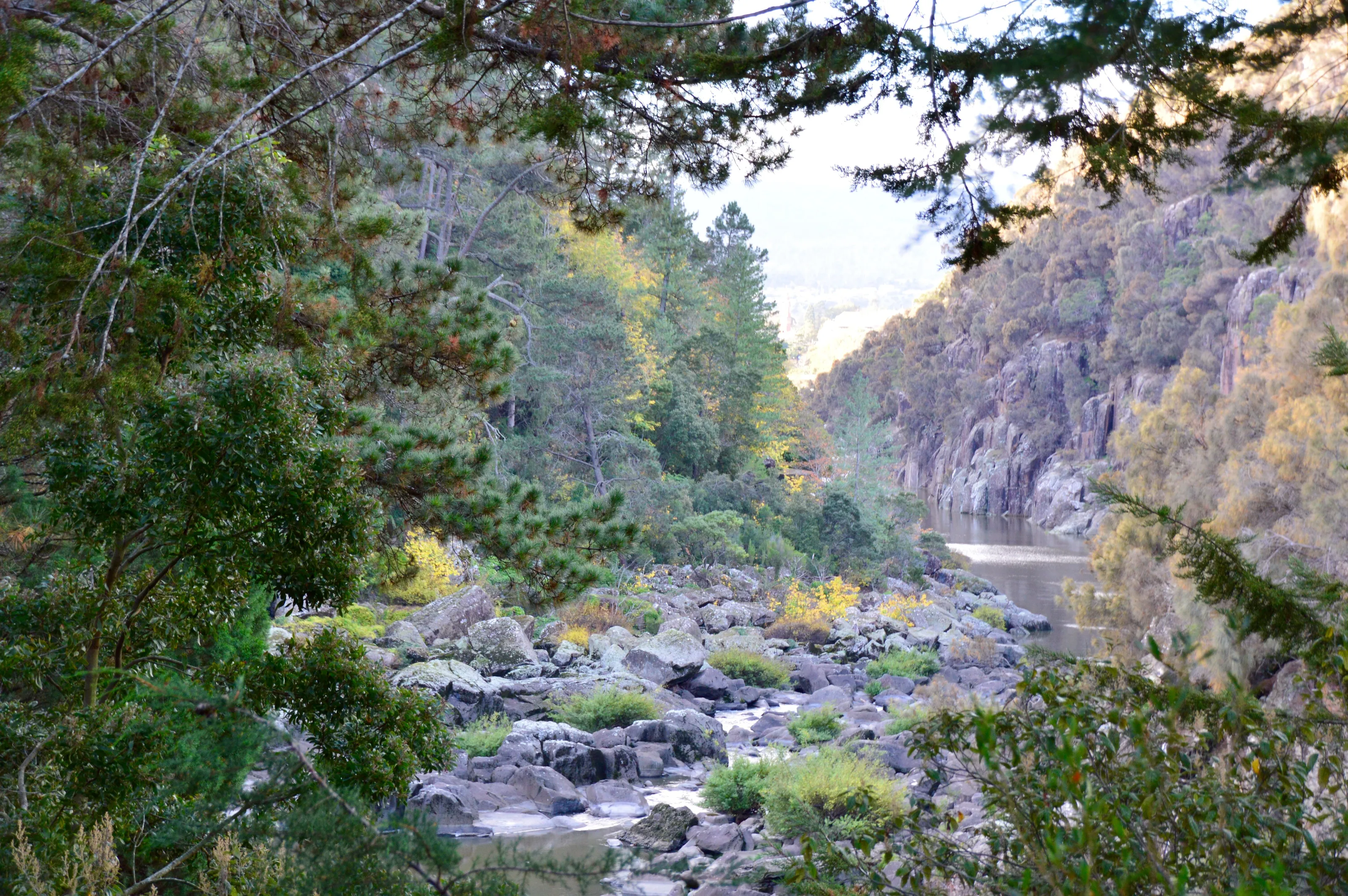 Launceston Gorge