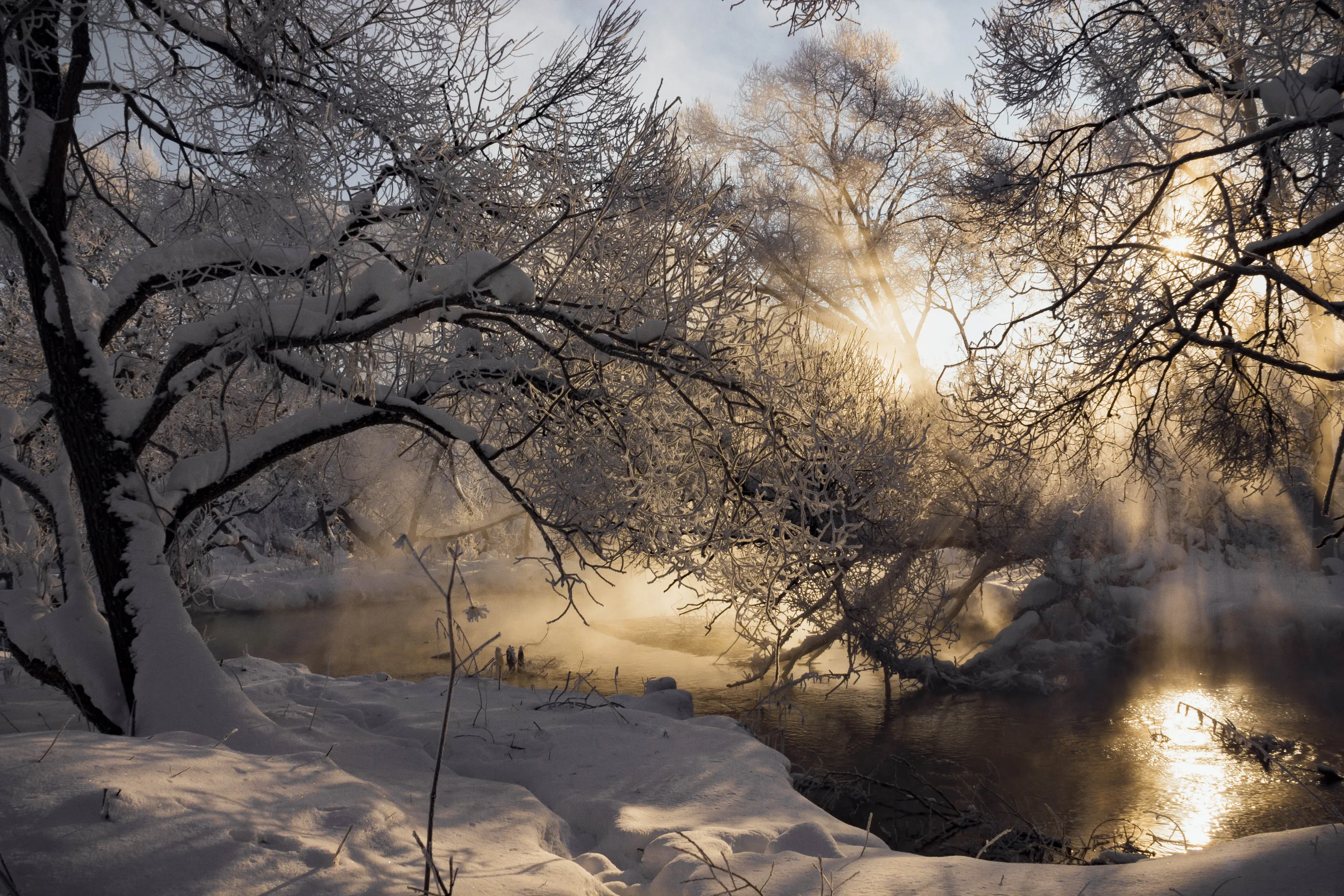 Dreamy winter