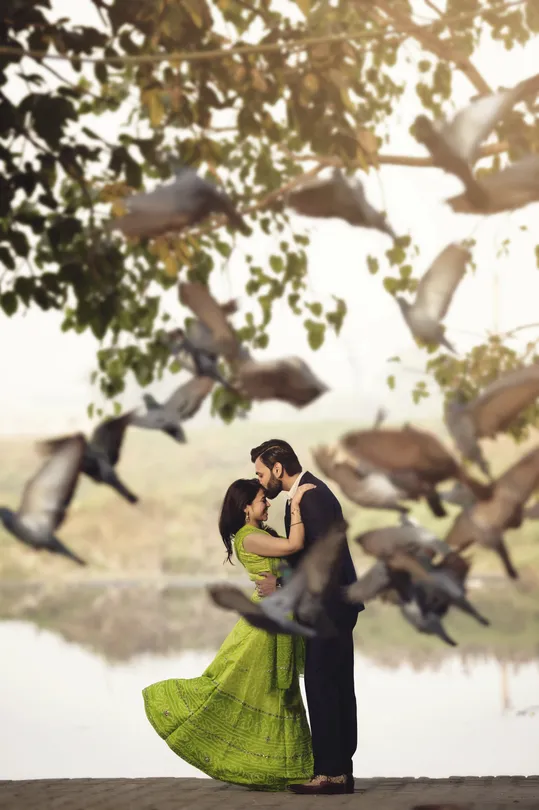 Love birds