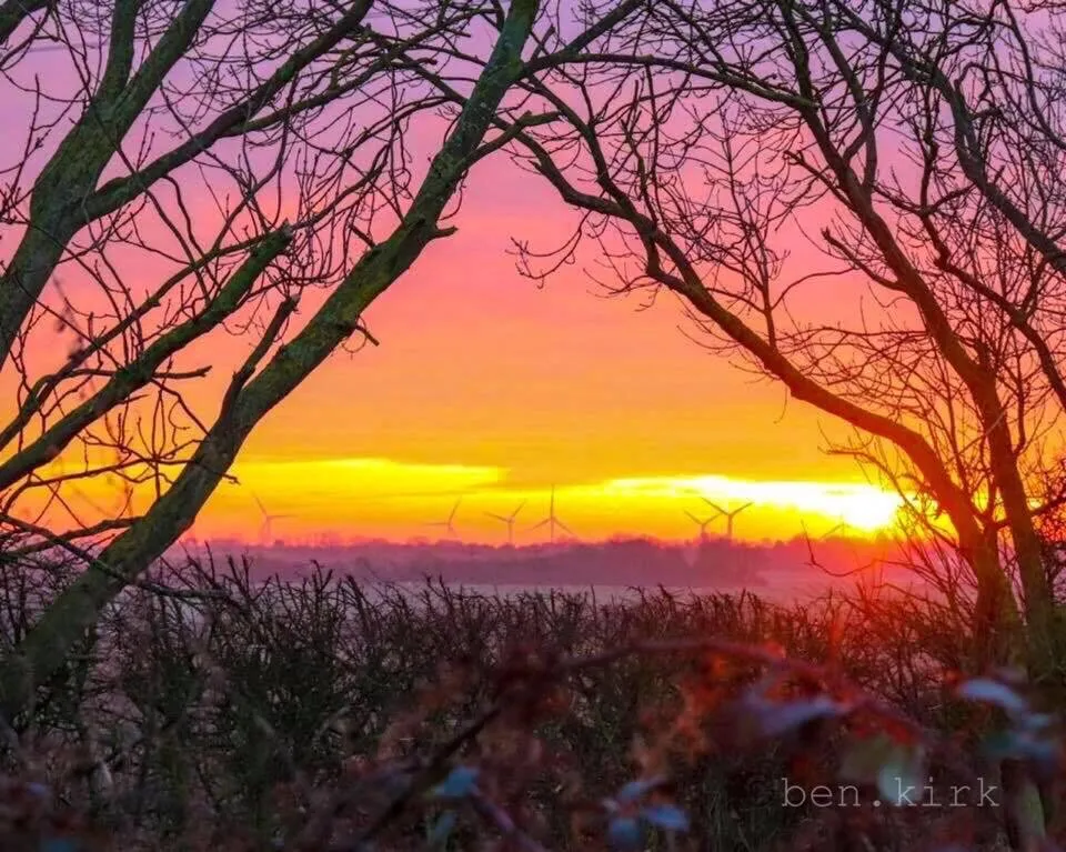 Looking out from Waltham