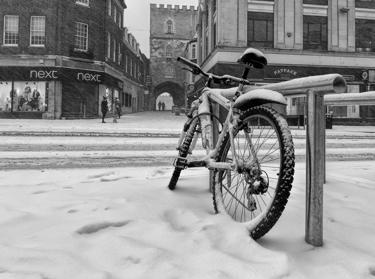 Entry 8764406