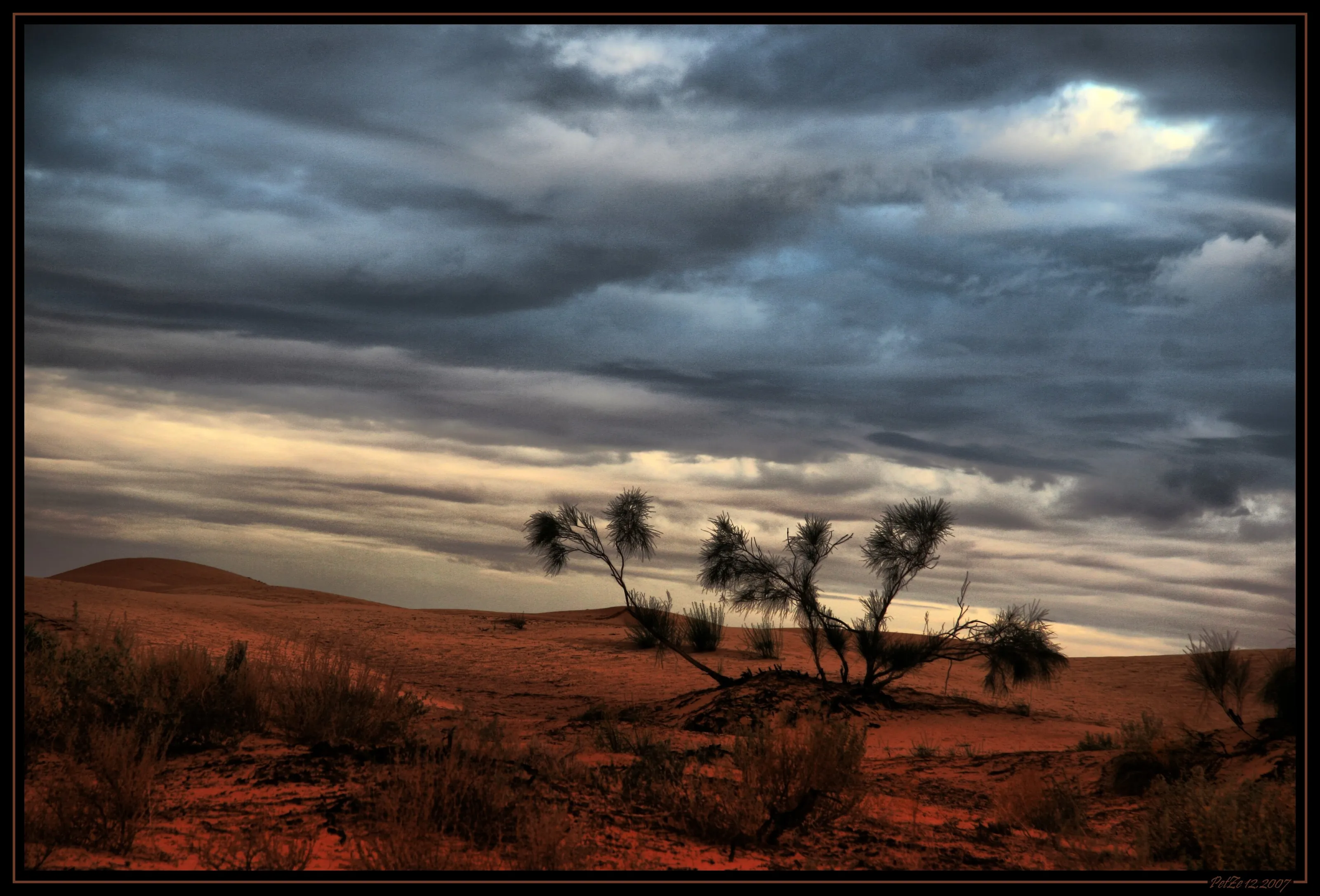 Somewhere on the desert