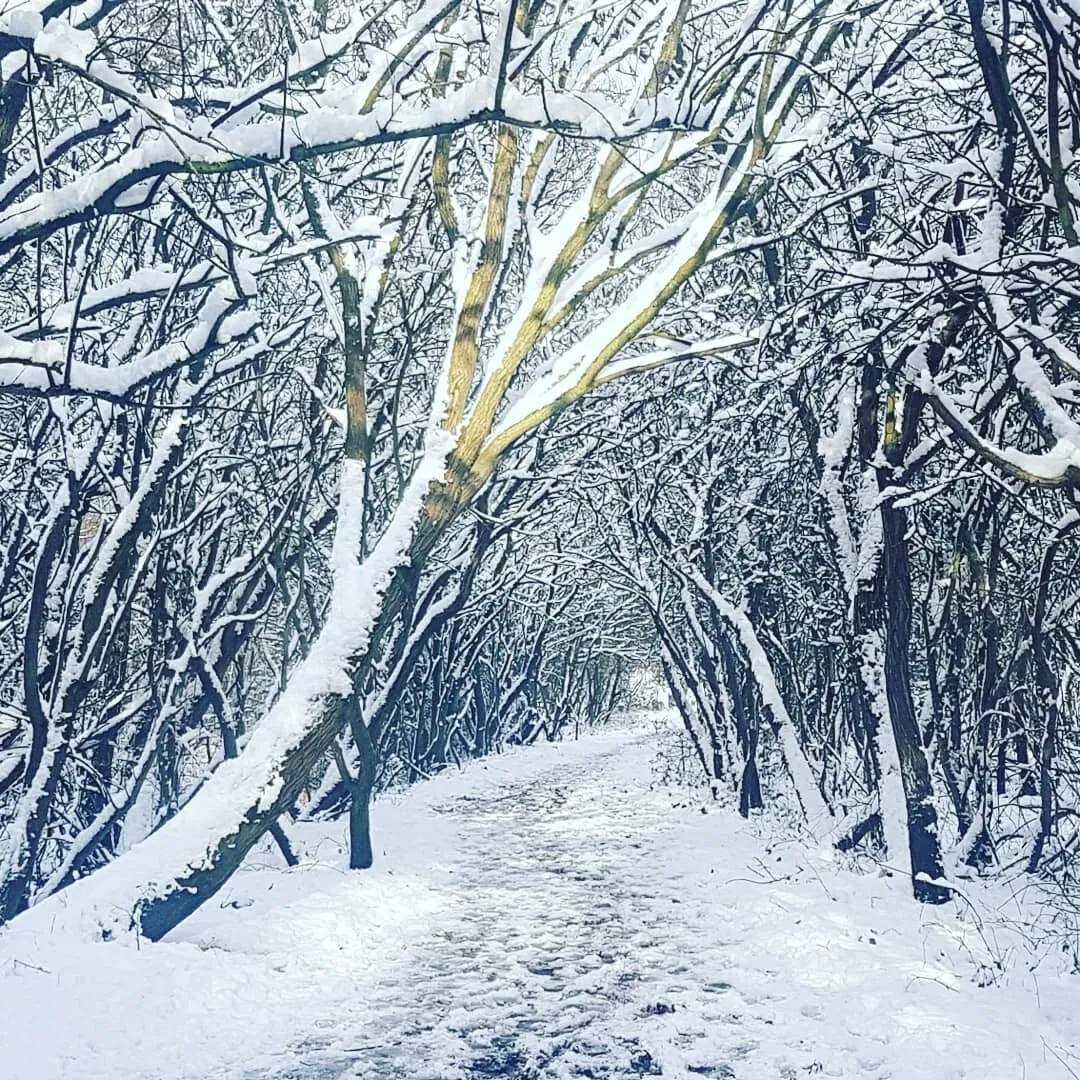 A snowy Chasewater