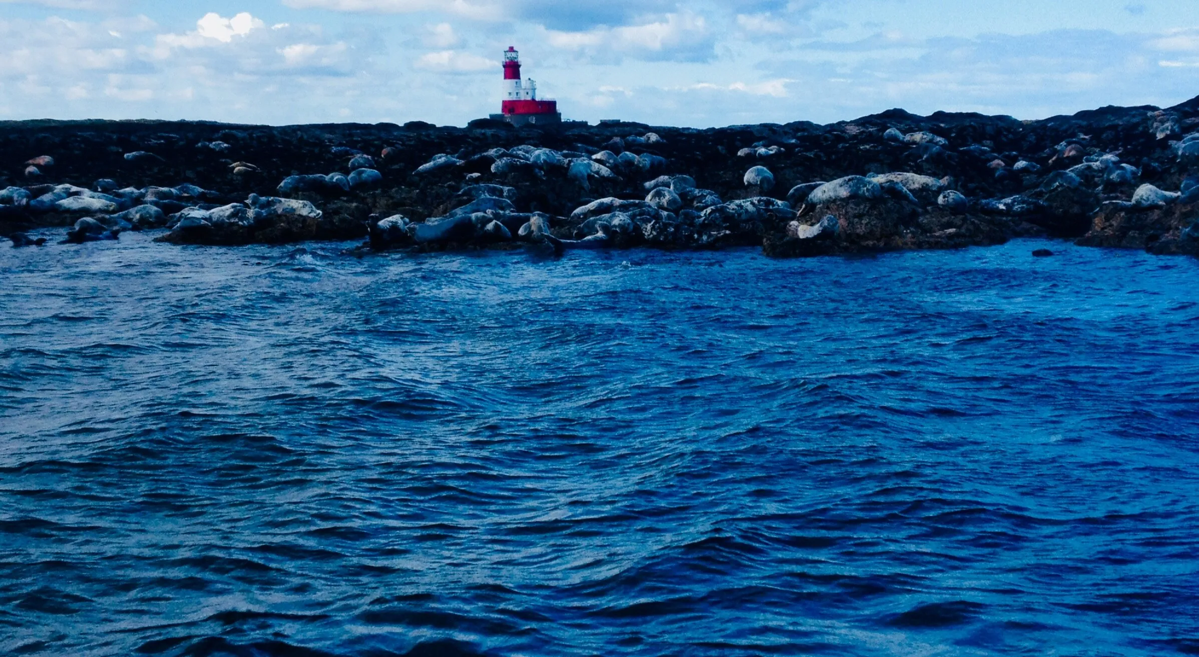 Deep Blue Sea