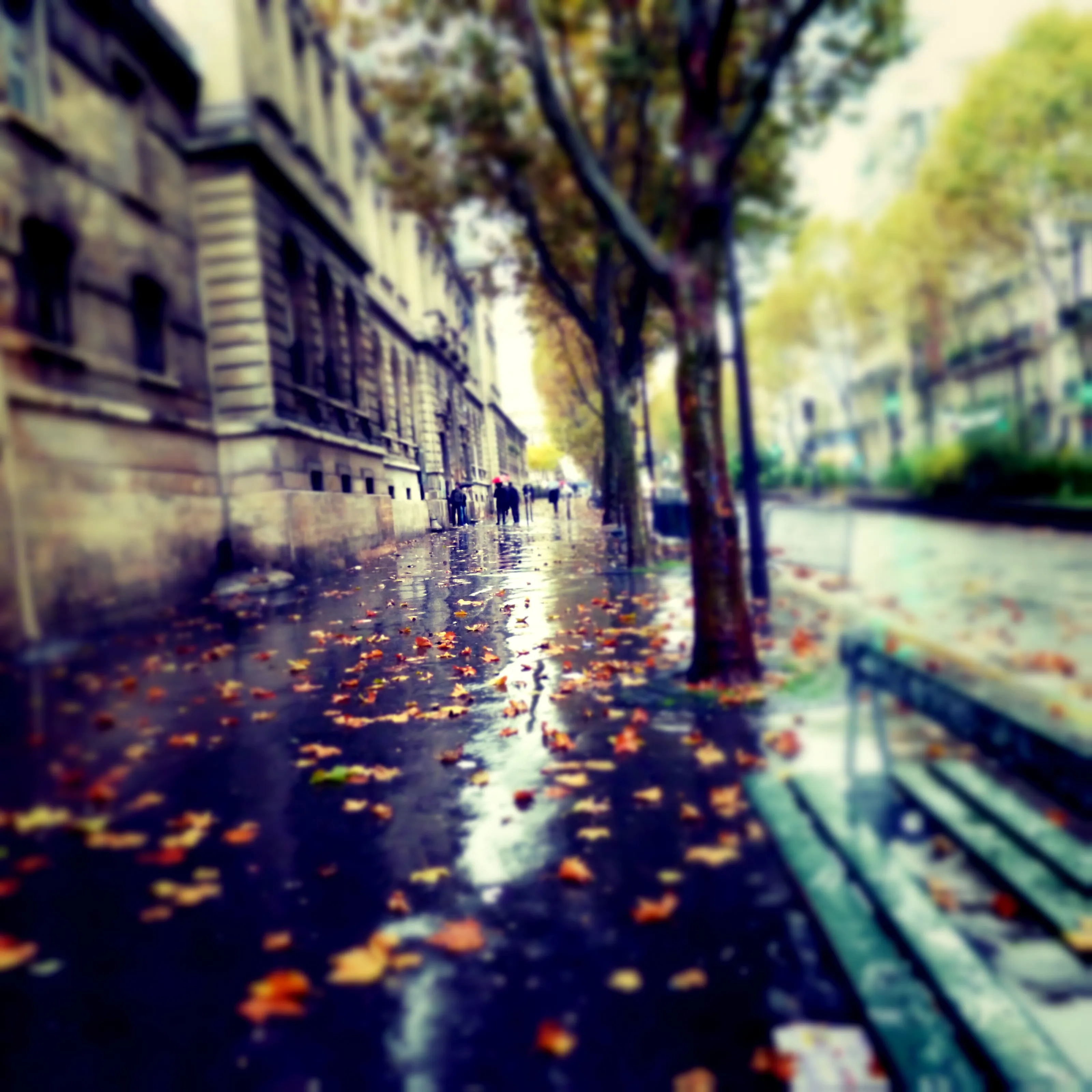 Rain in Paris