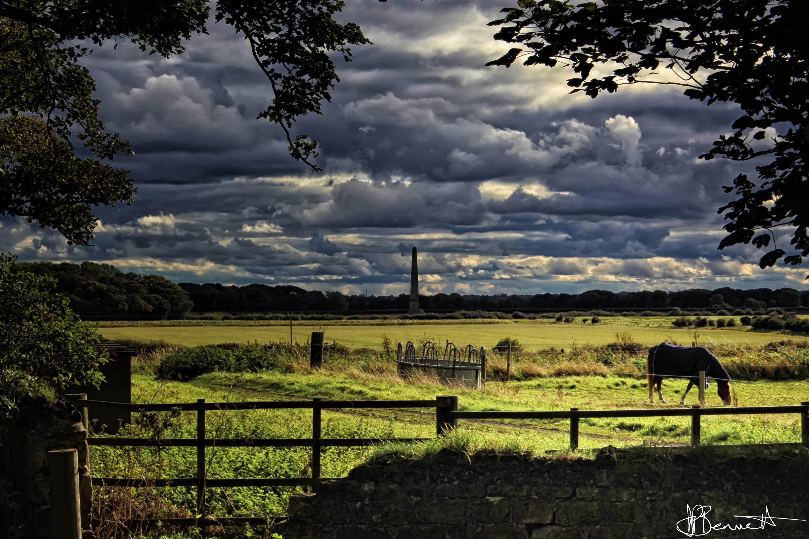 Pastures new