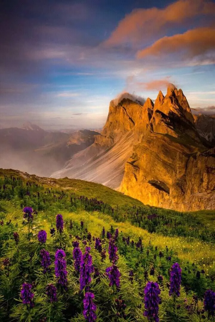 Nature is so beautiful