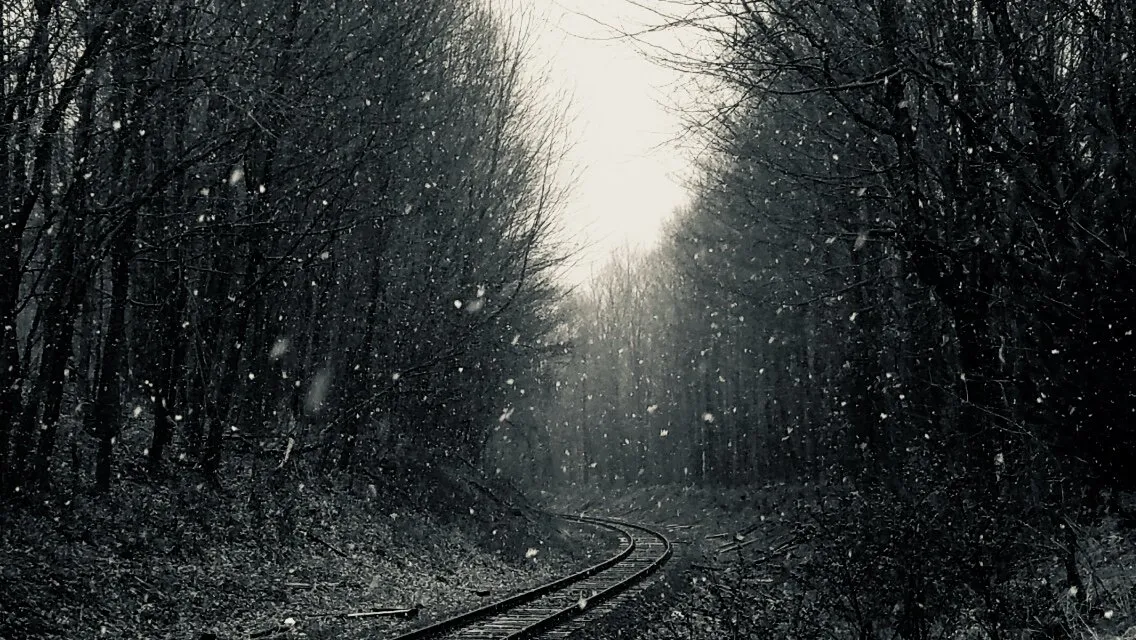 Entry 1870104
