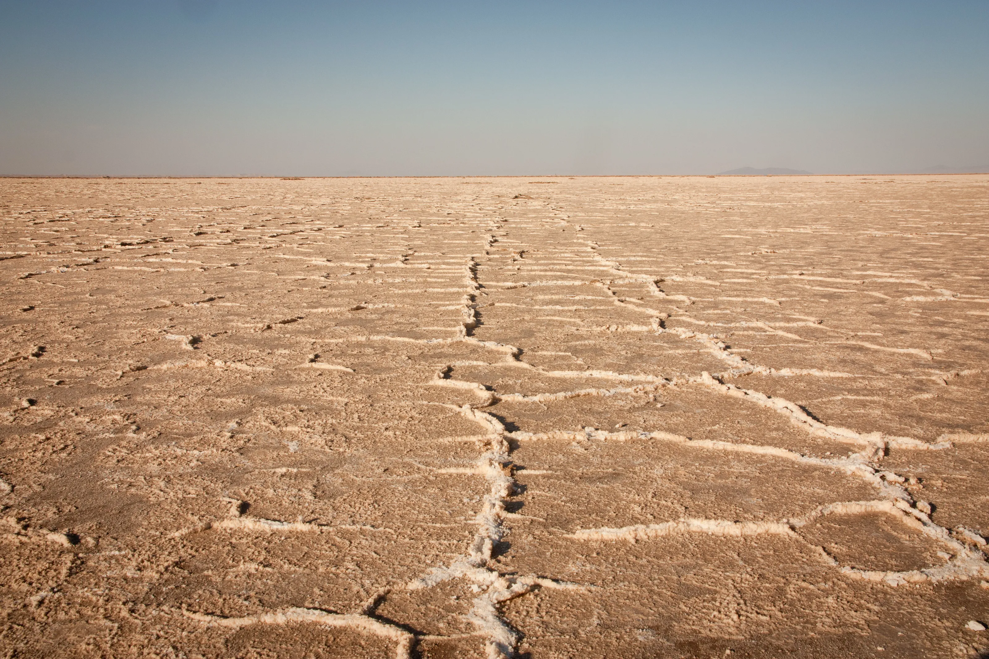 desert
